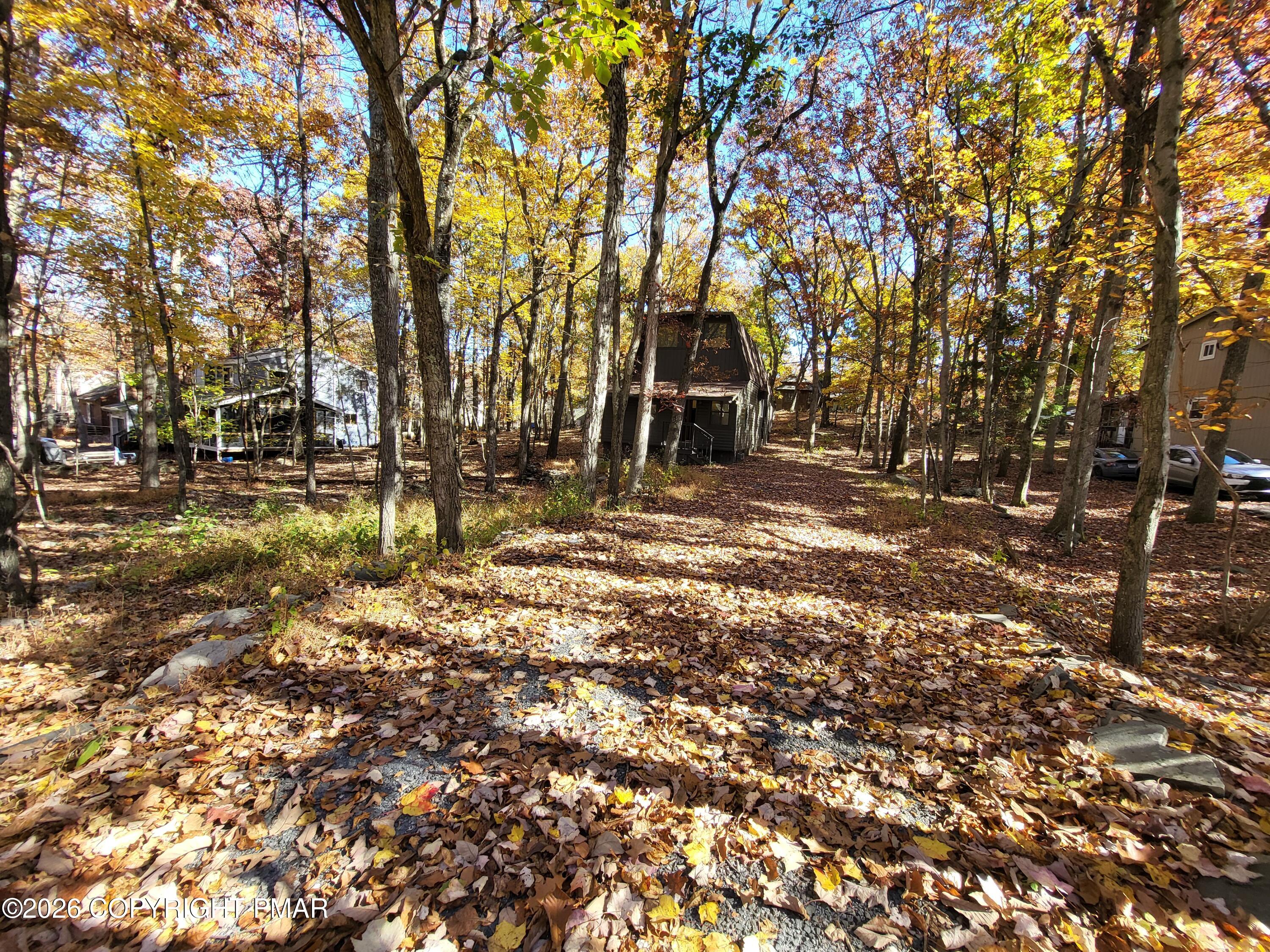 169 Saunders Drive