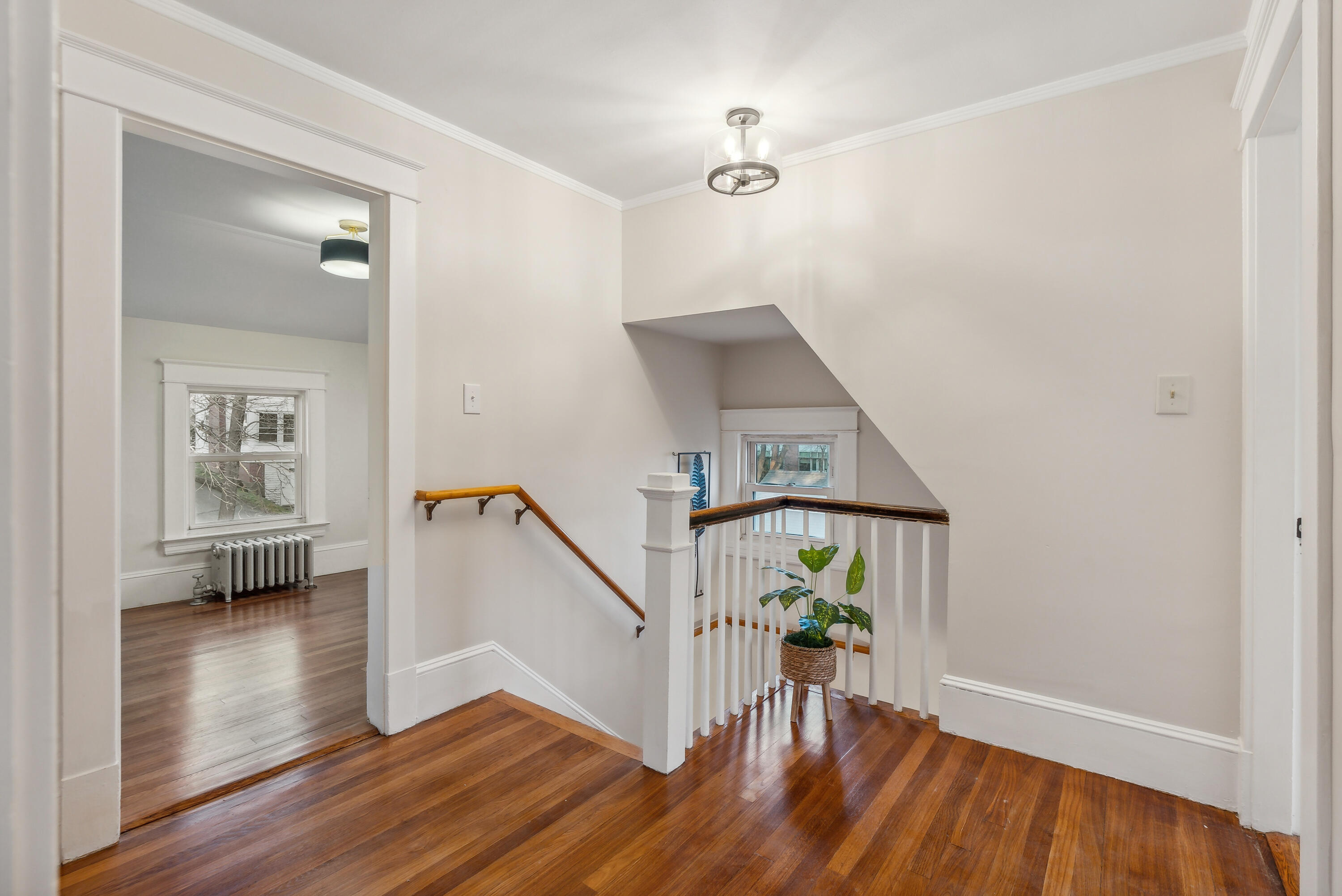 11 Chamberlain Avenue