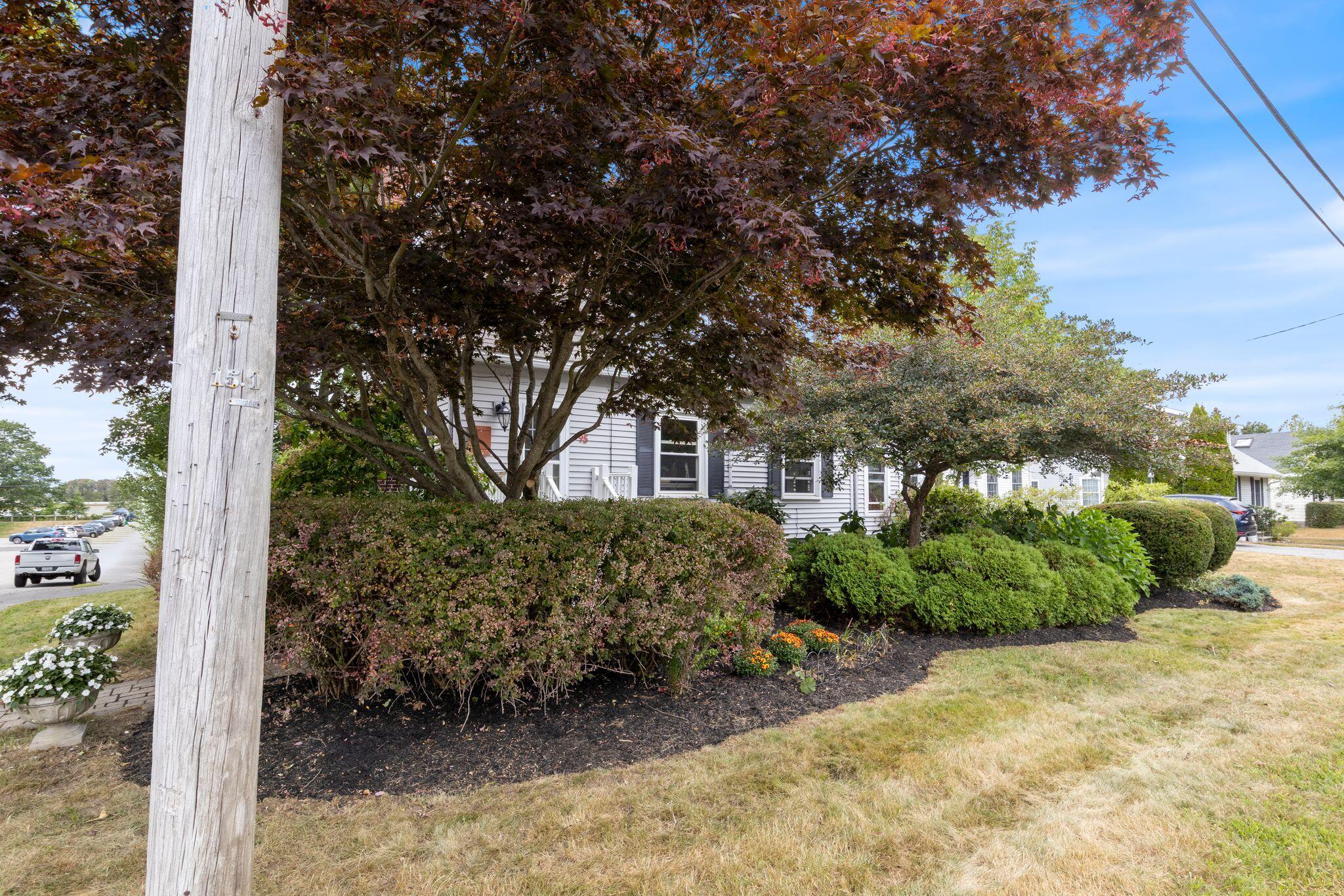 95 Mussey Street
