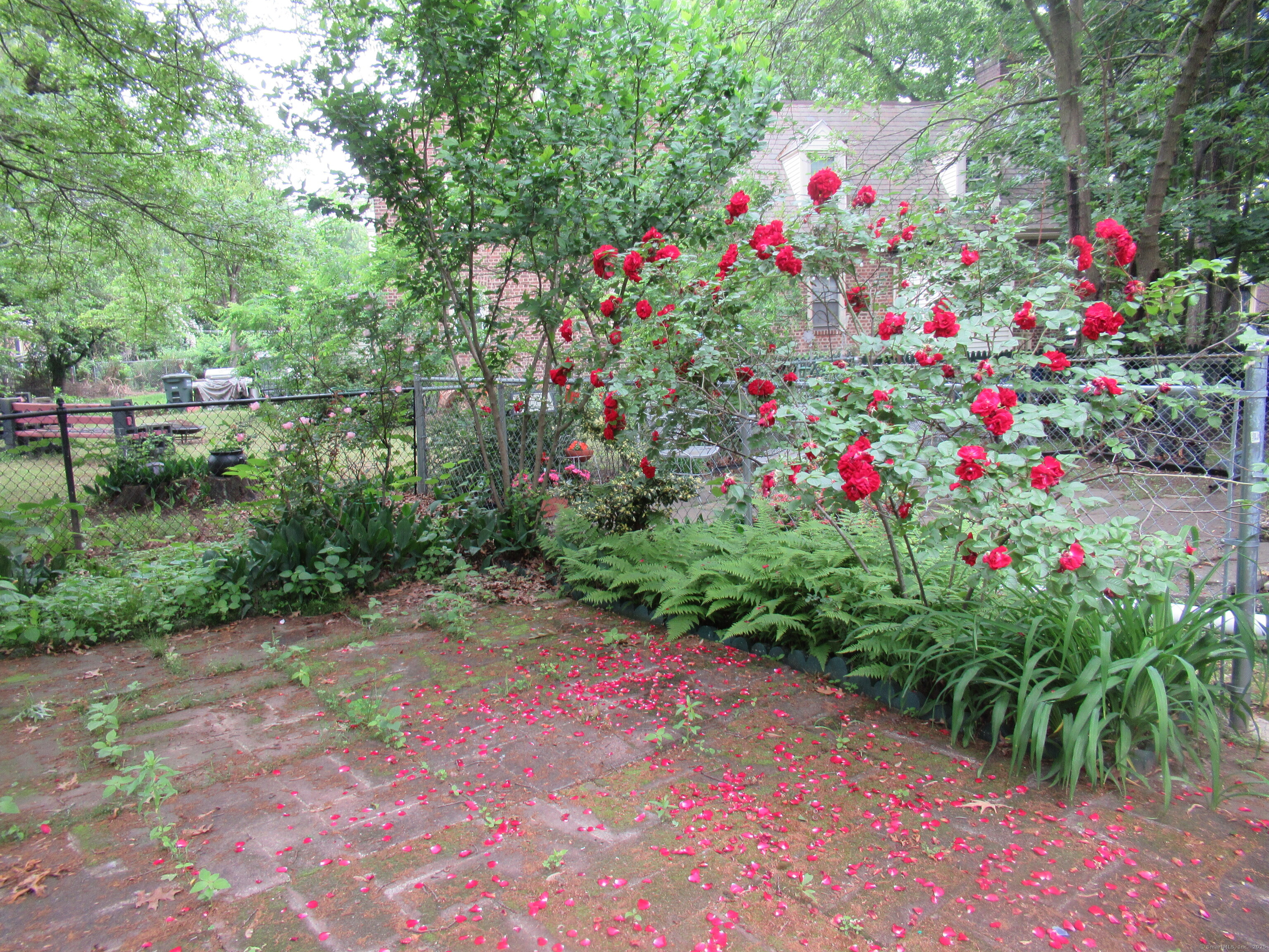 164 Flanders Street