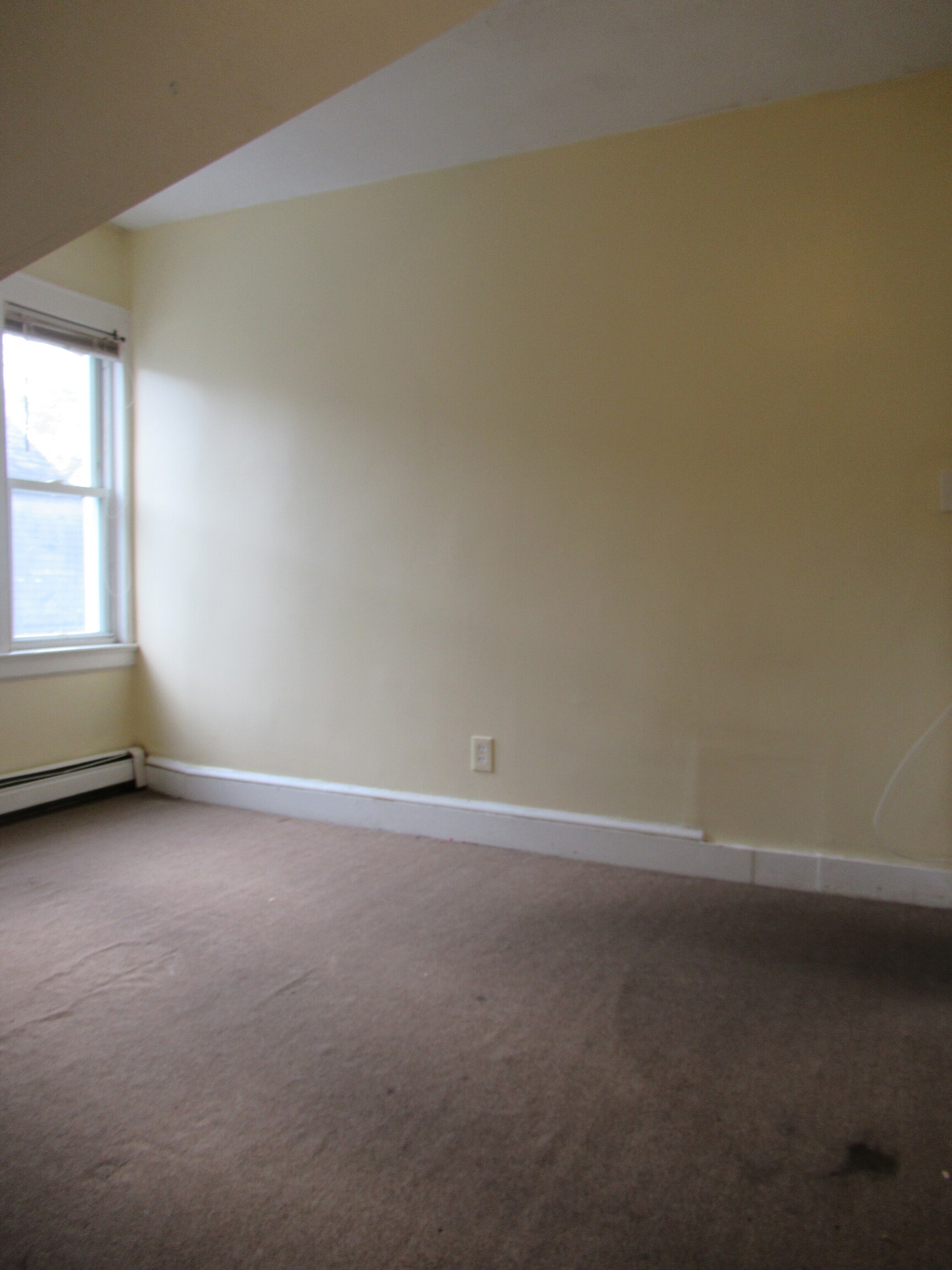 255 Poplar Street