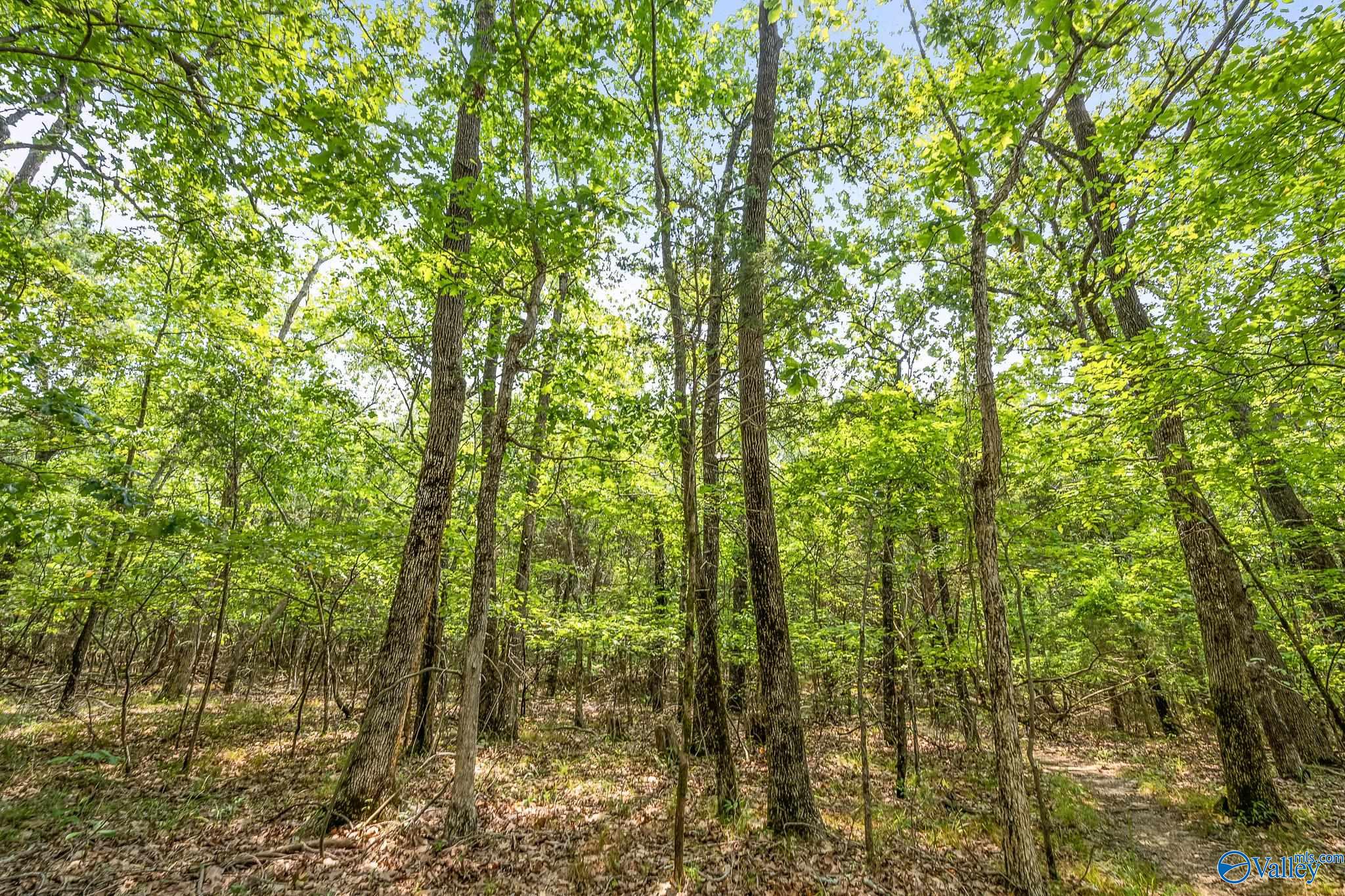 8.6 Acres High Mountain Road