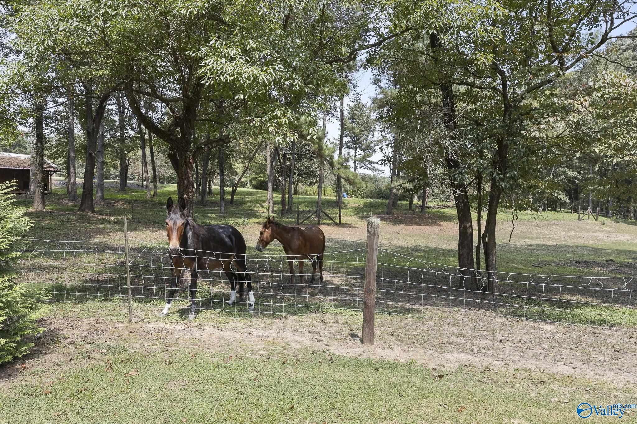 1950 Friendship Road