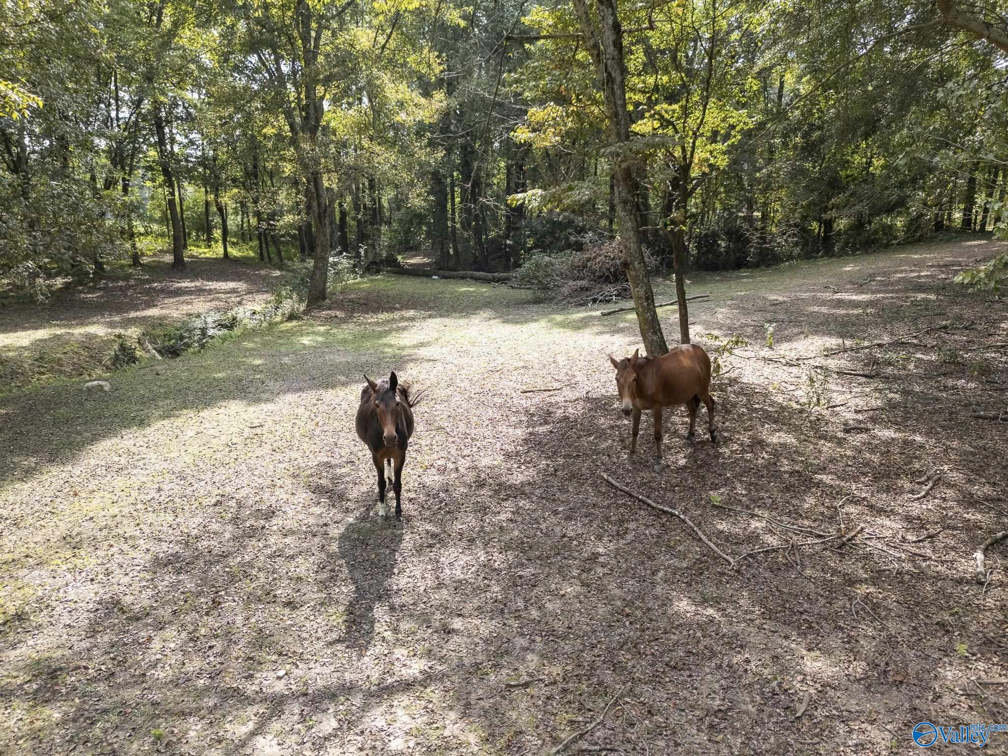 1950 Friendship Road