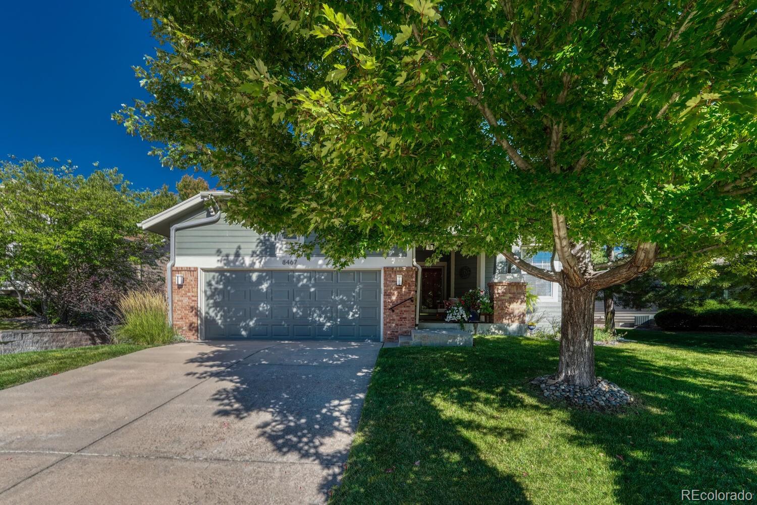 8467 Brambleridge Drive