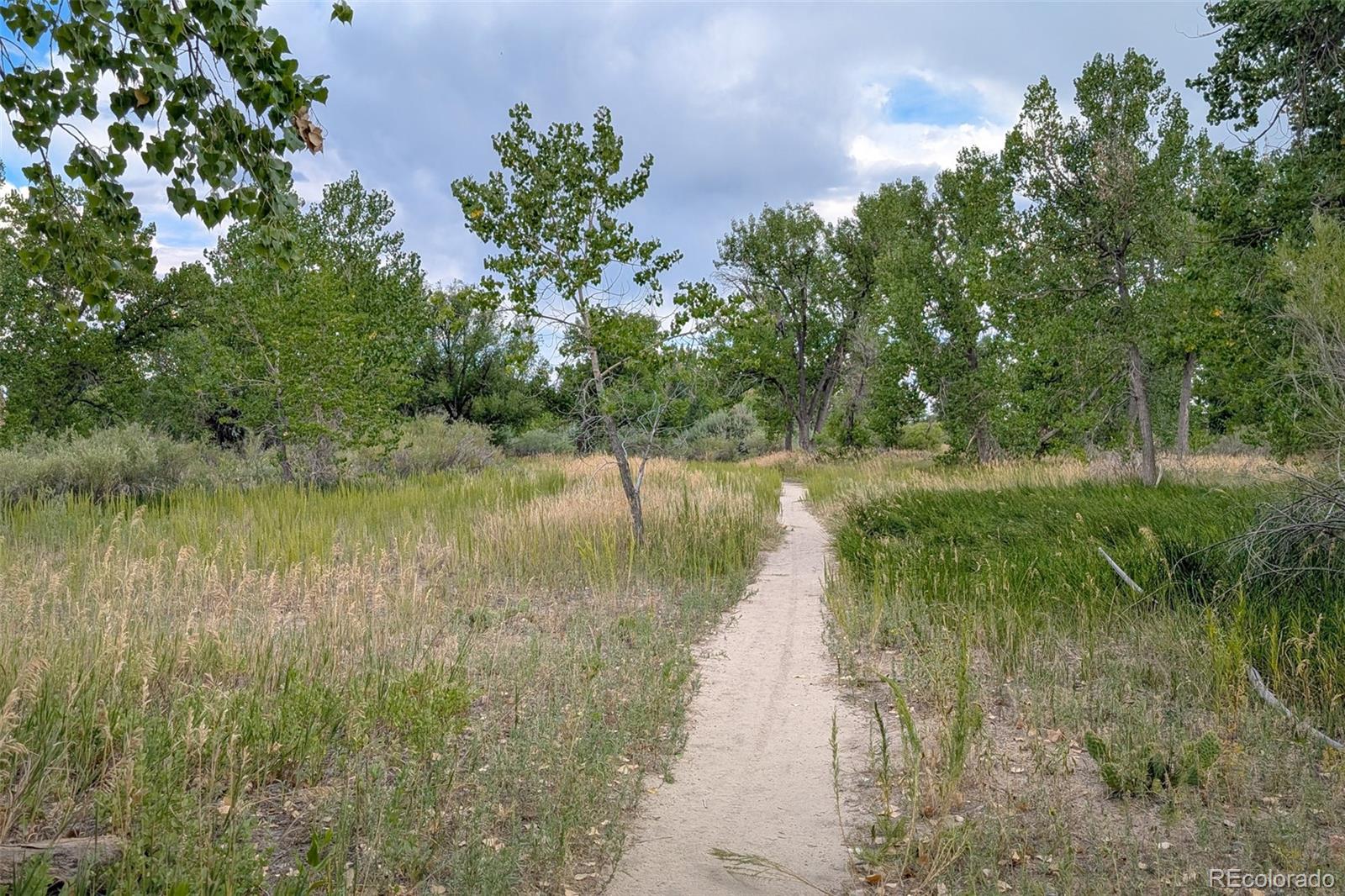 16919 Blue Mist Circle