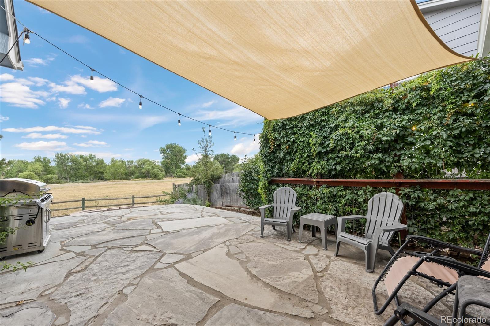 16919 Blue Mist Circle