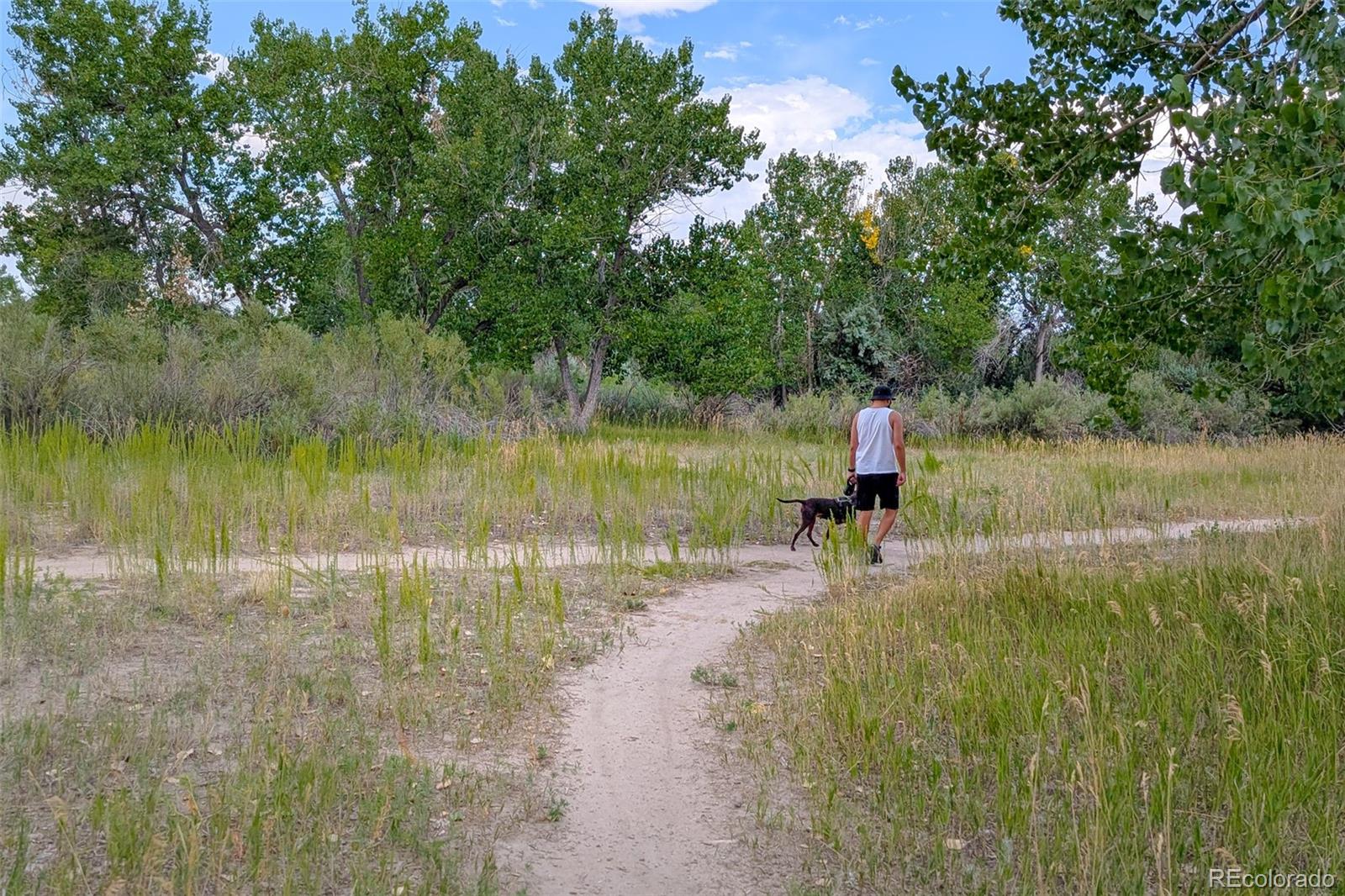 16919 Blue Mist Circle