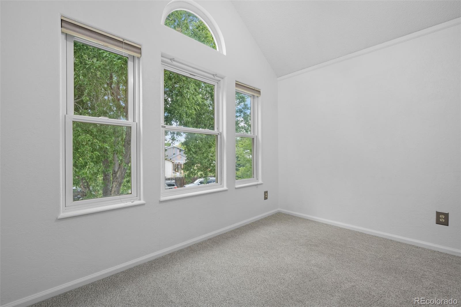 16919 Blue Mist Circle