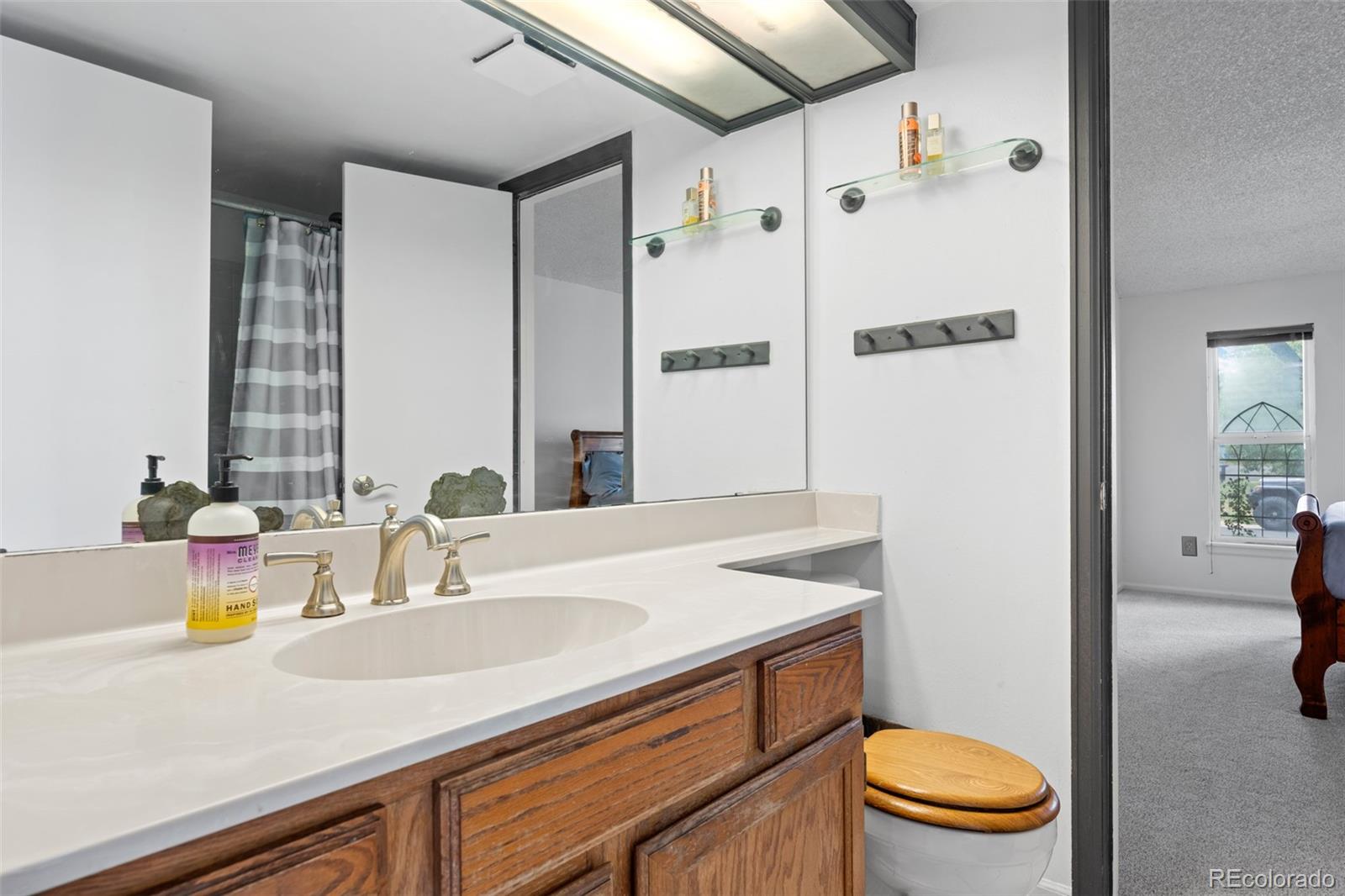 16919 Blue Mist Circle