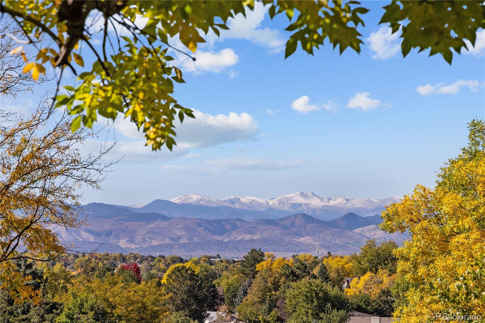 6561 S Pontiac Court