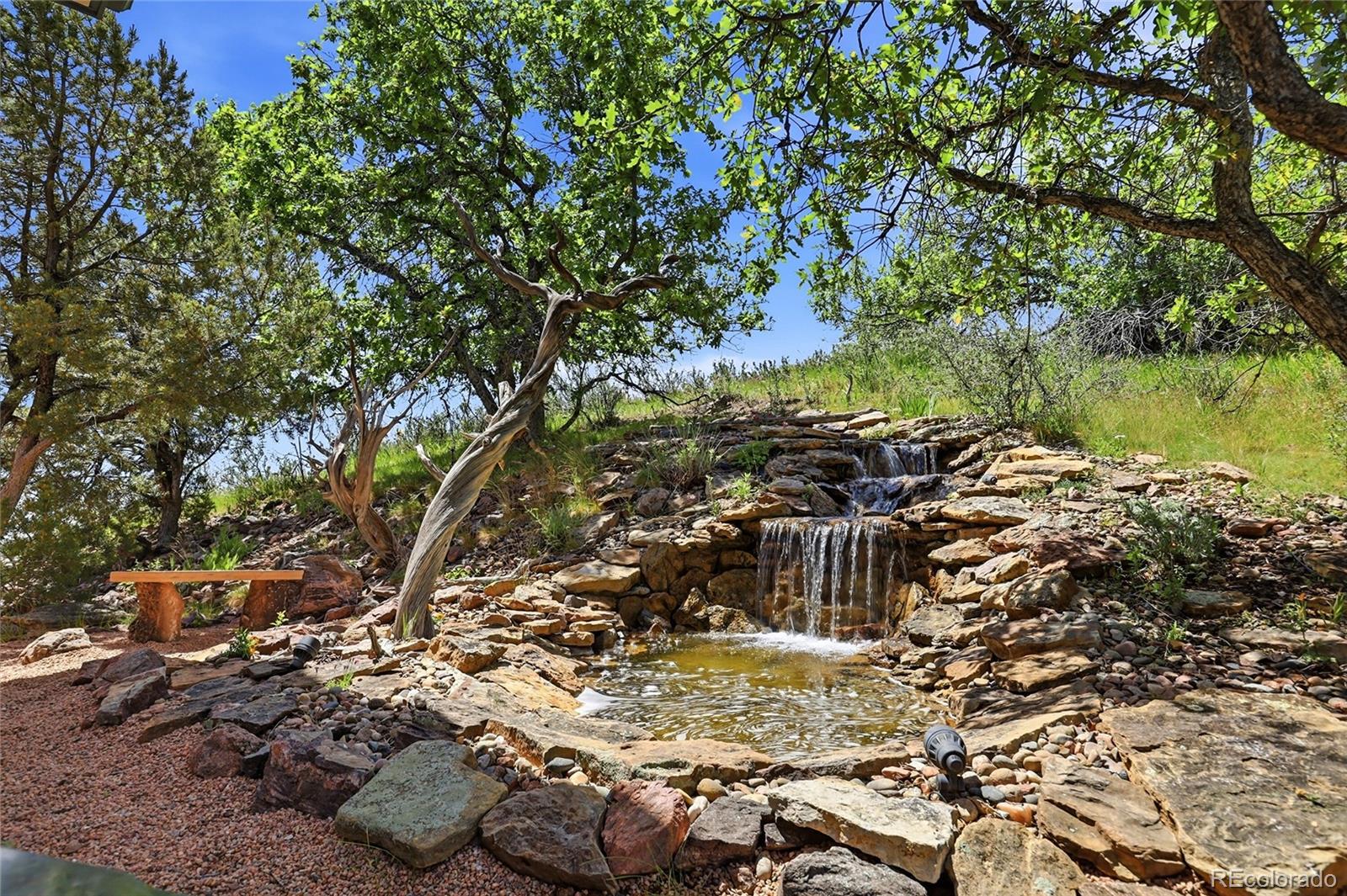16444 Sunflower Lane