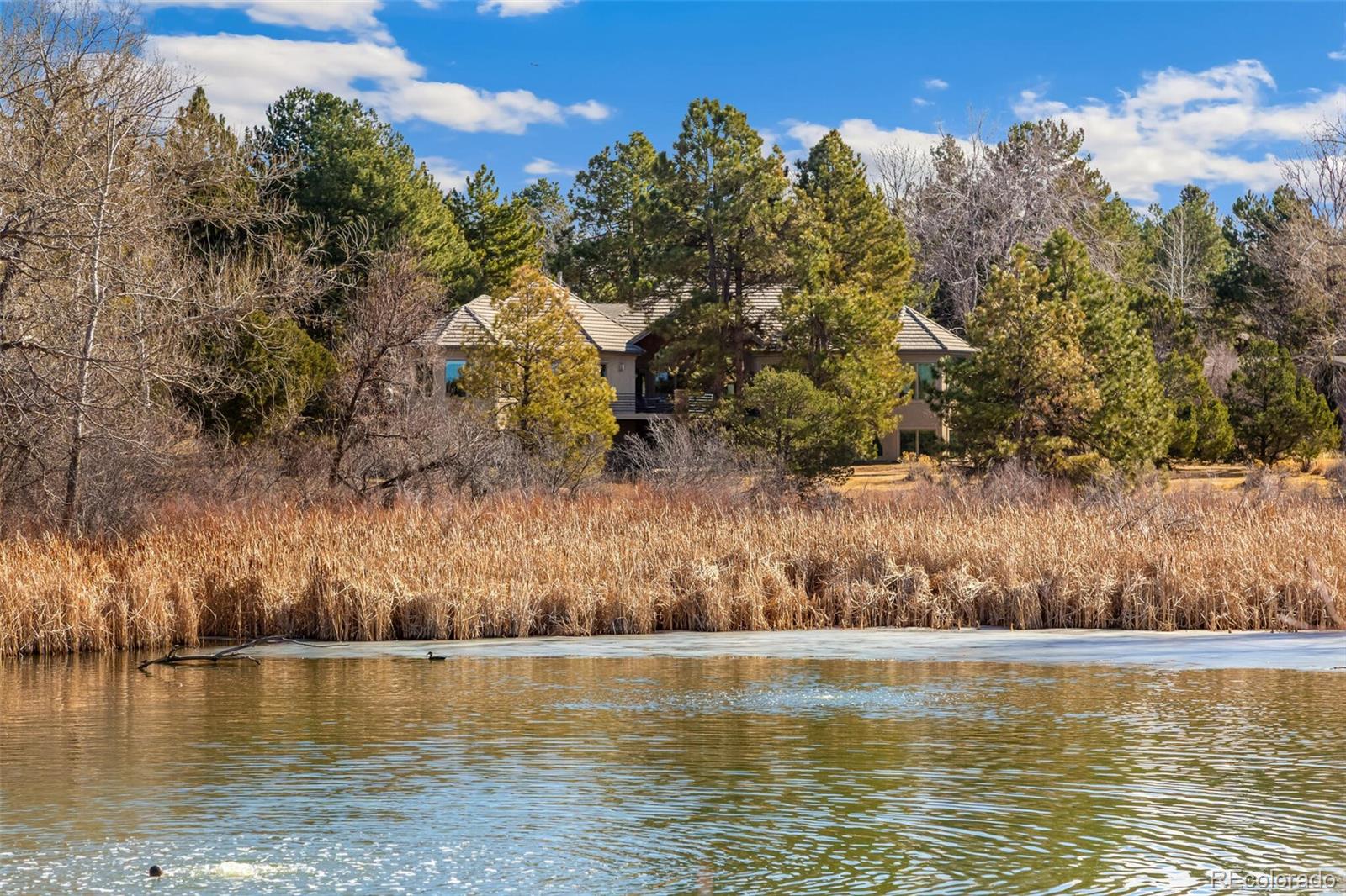 9444 E Orchard Drive