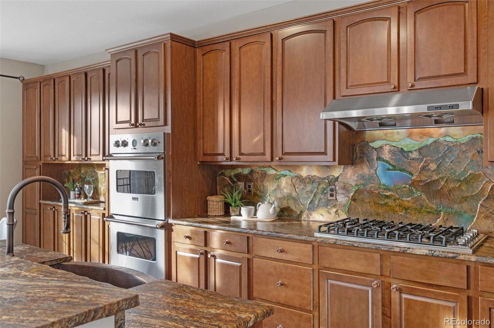 11561 S Flower Mound Way