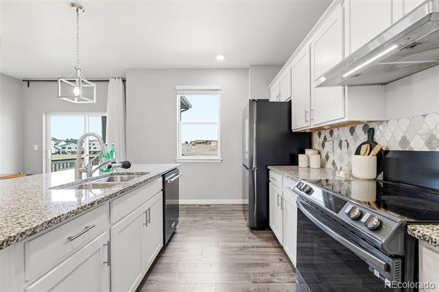 2311 Rosette Lane