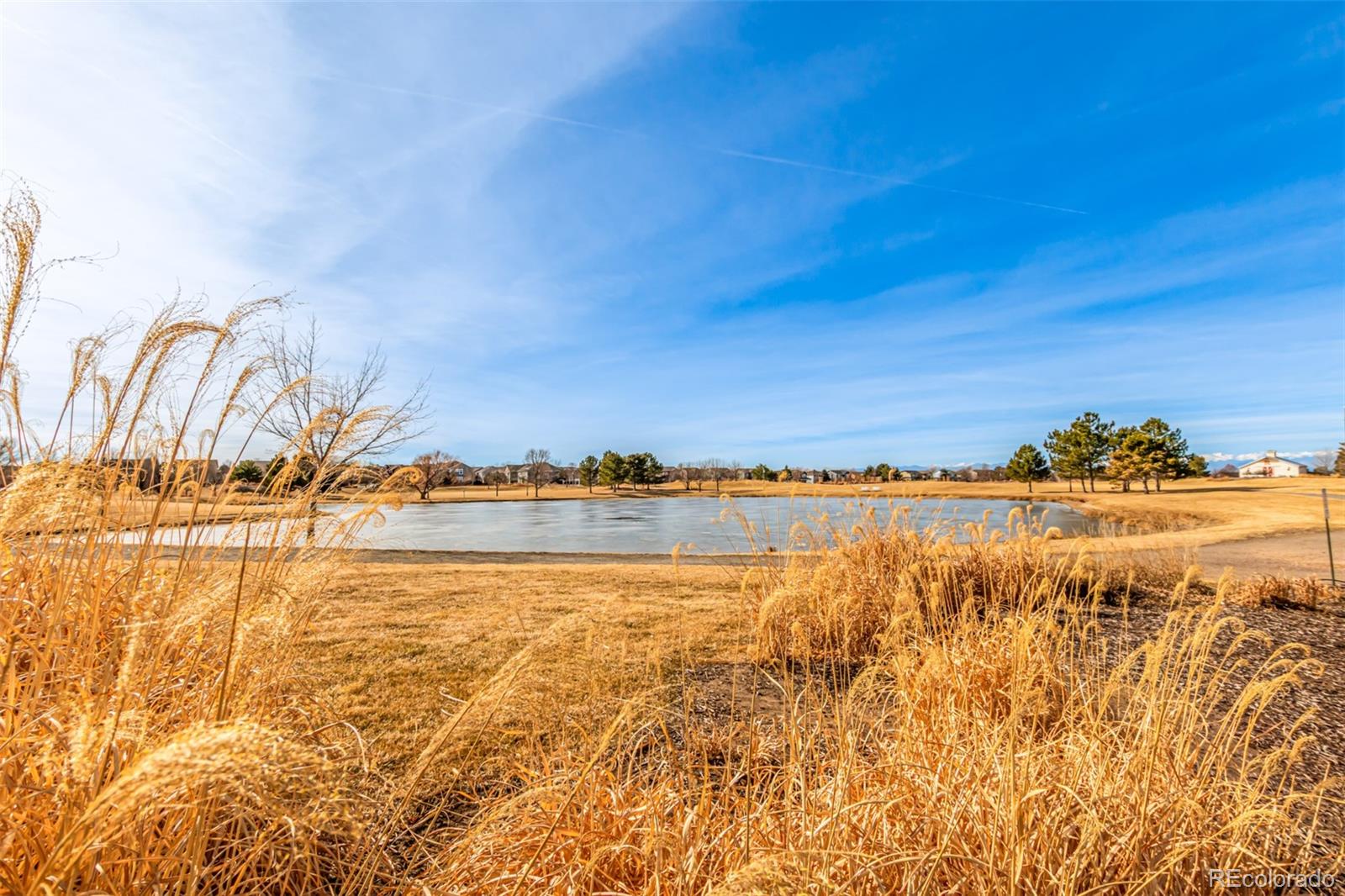 16388 E 109th Avenue