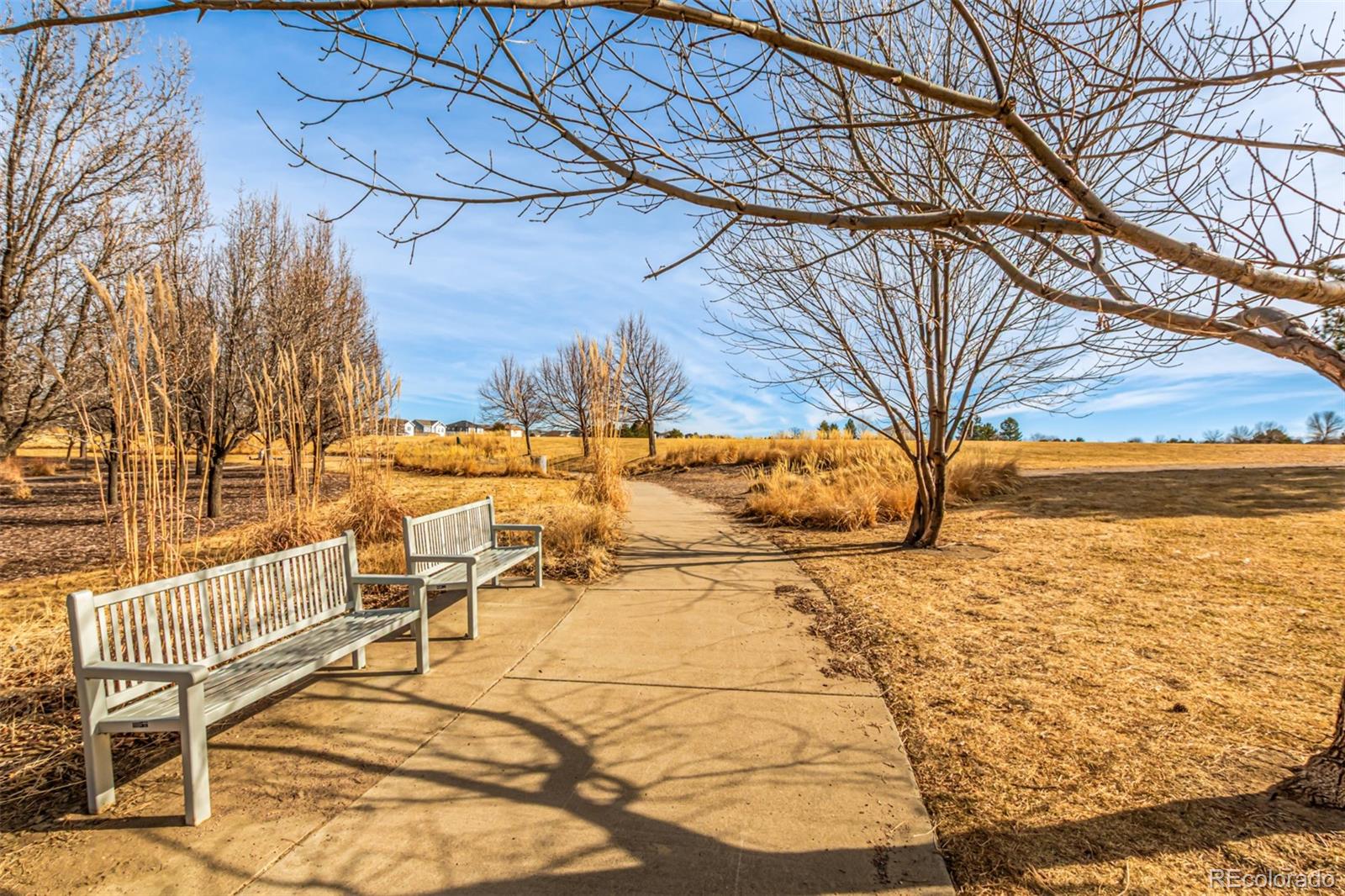 16388 E 109th Avenue