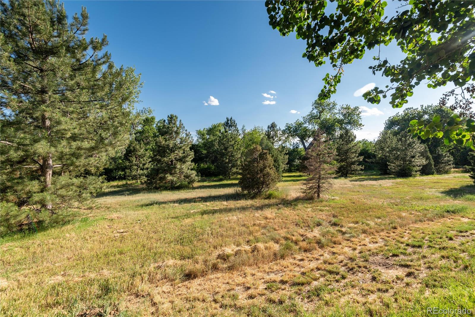 4262 E Orchard Place