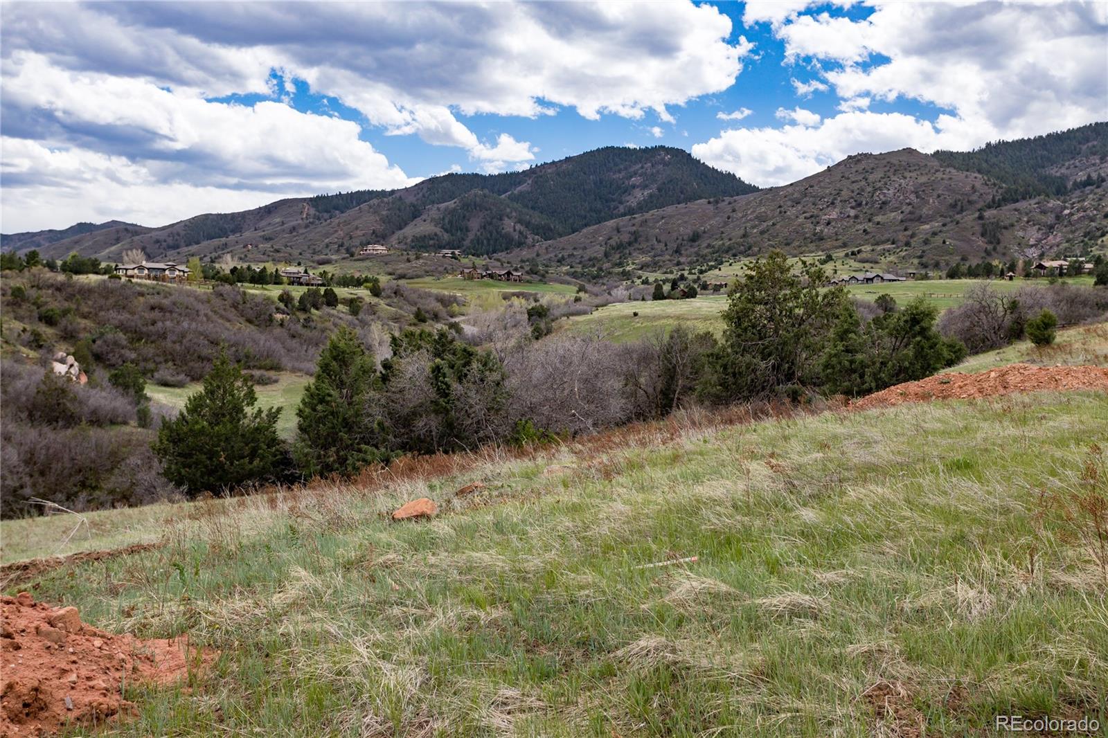 12312 White Deer Drive