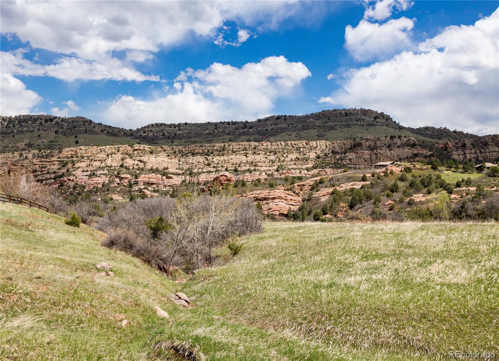 12312 White Deer Drive