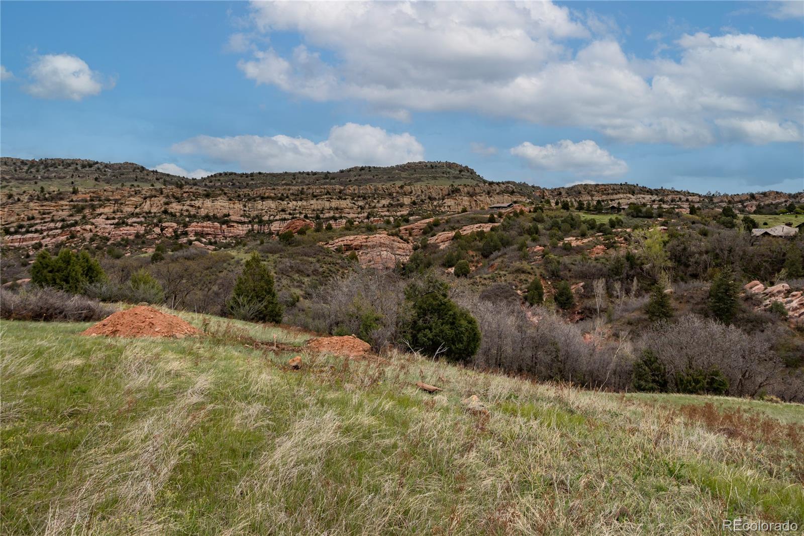 12312 White Deer Drive