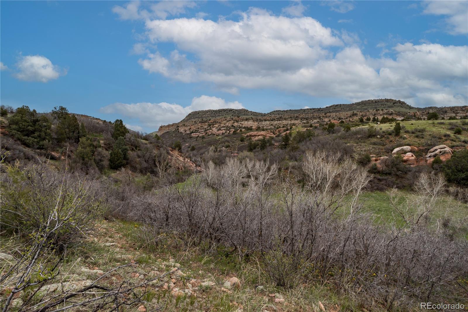 12312 White Deer Drive