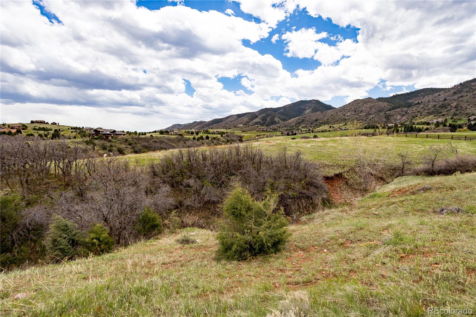 12312 White Deer Drive