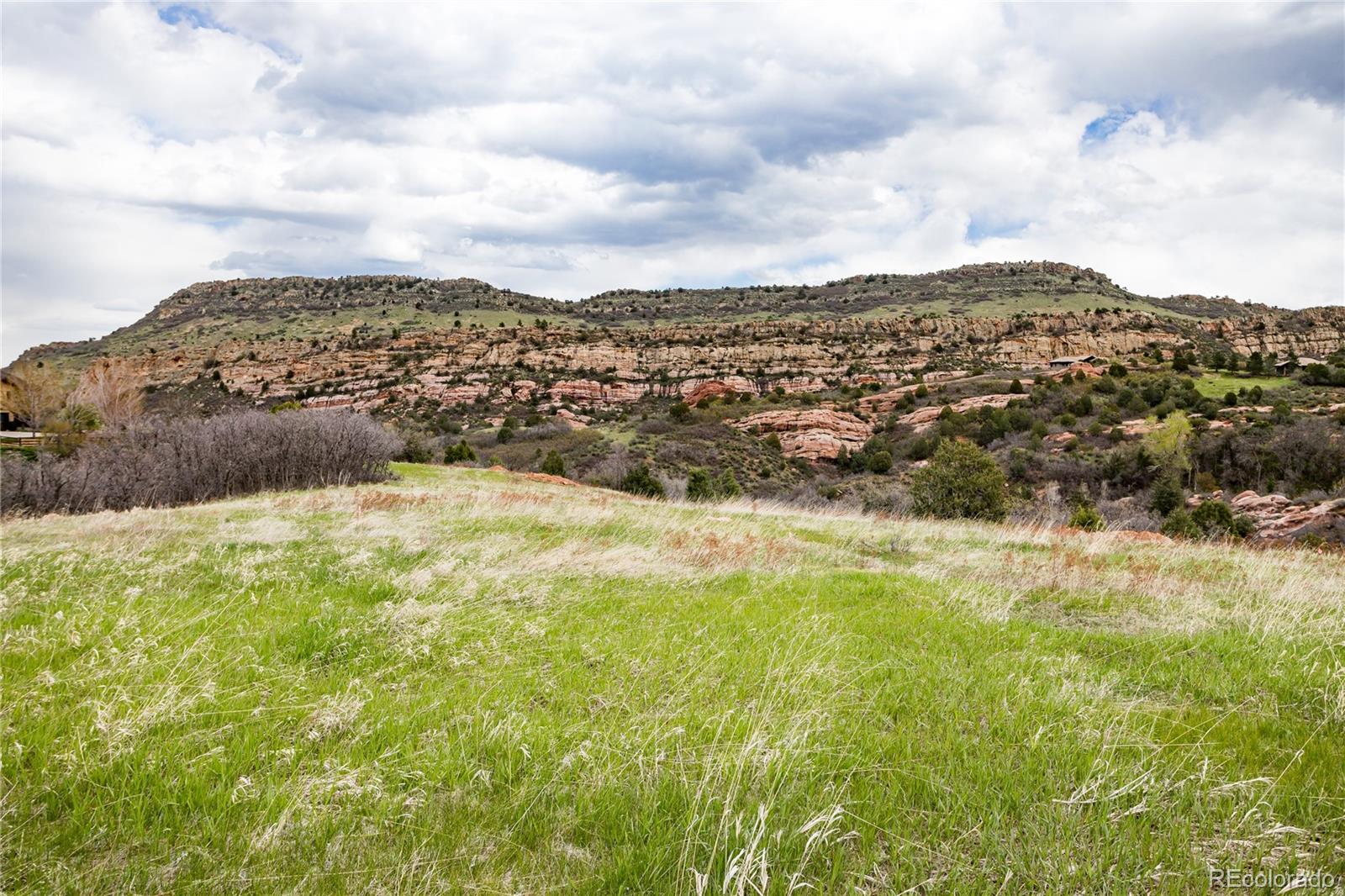 12312 White Deer Drive