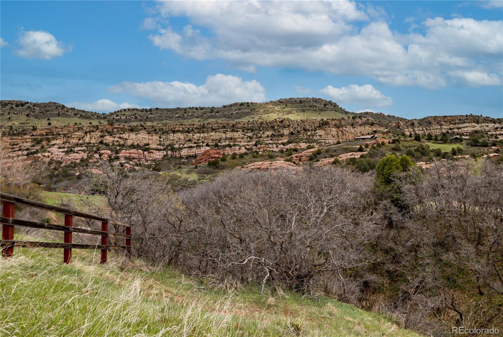 12312 White Deer Drive