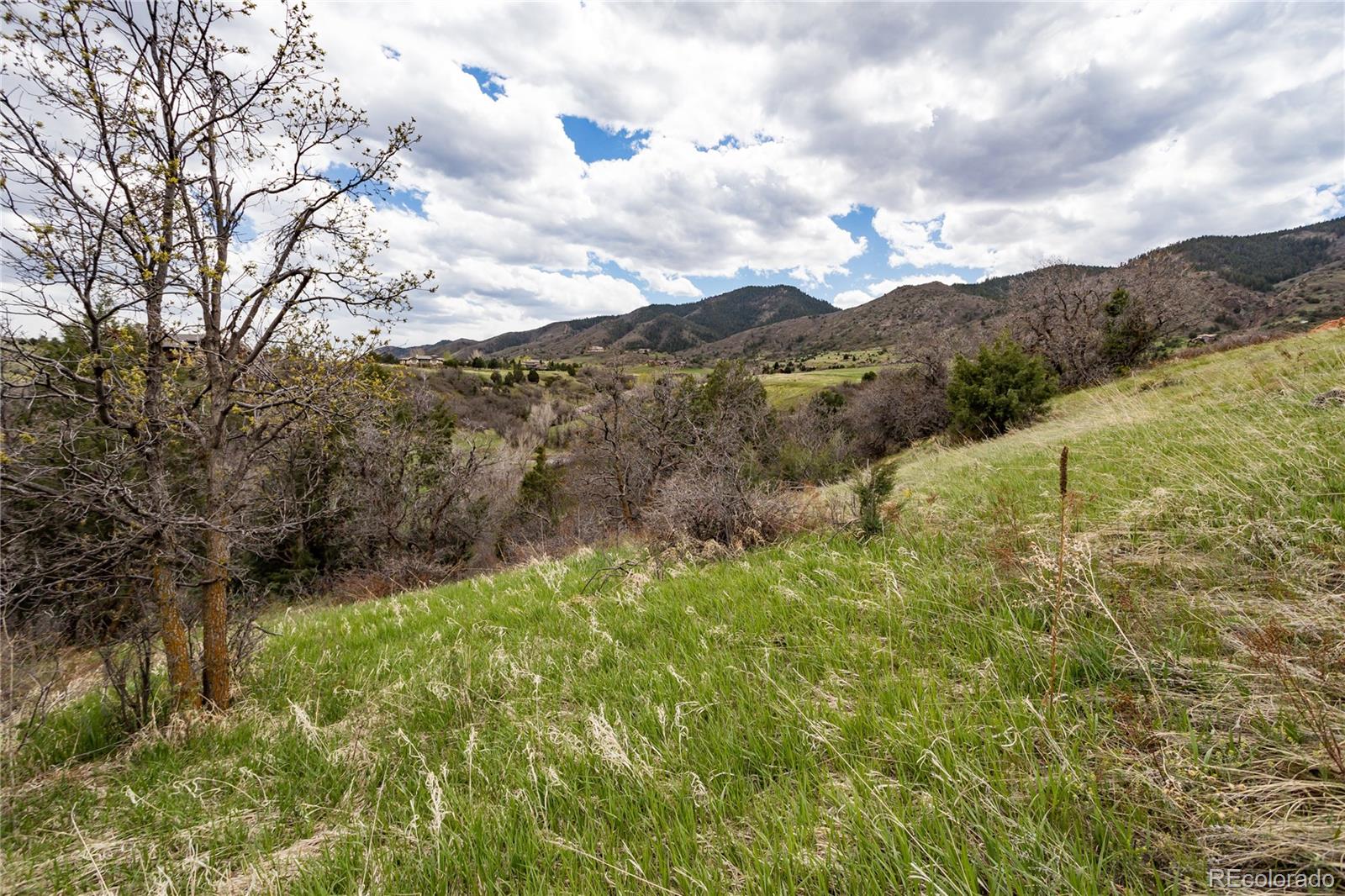 12312 White Deer Drive