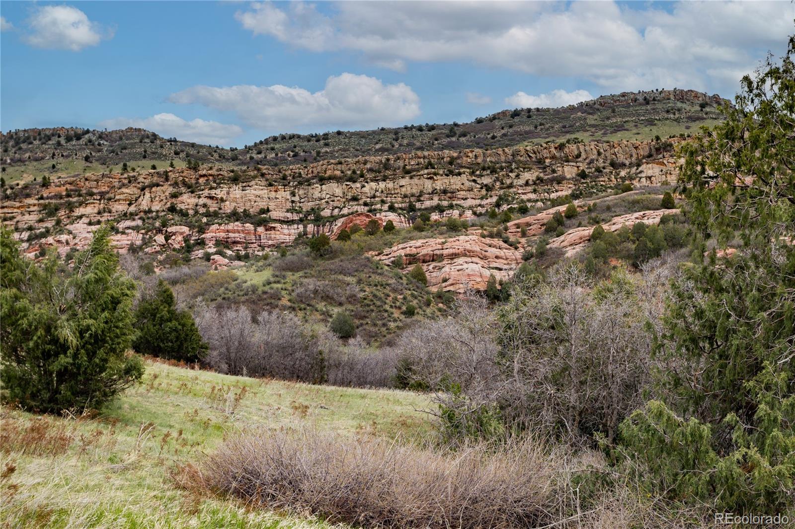 12312 White Deer Drive