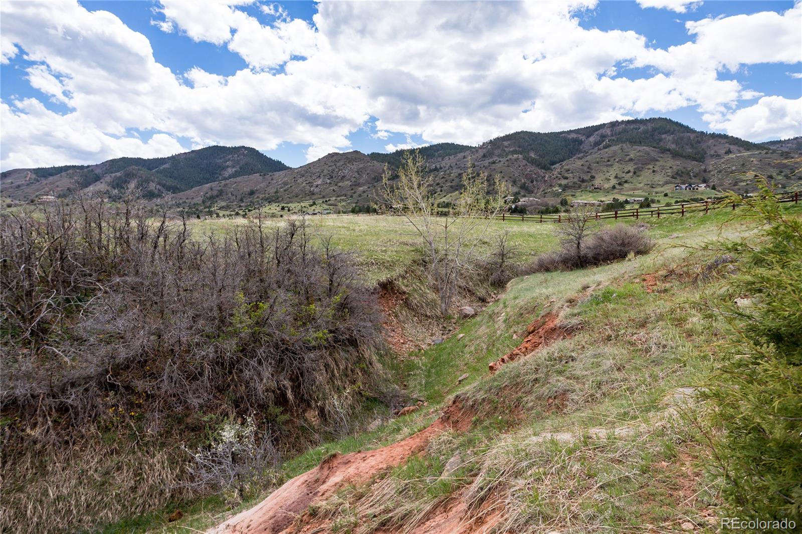 12312 White Deer Drive