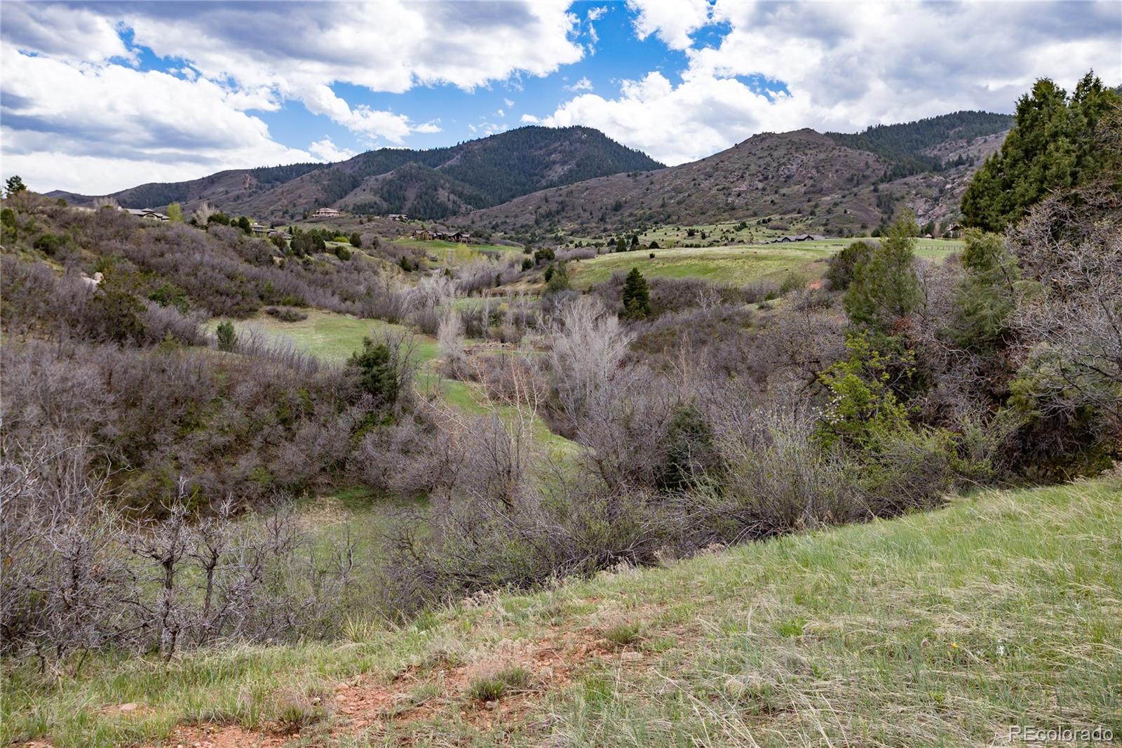 12312 White Deer Drive