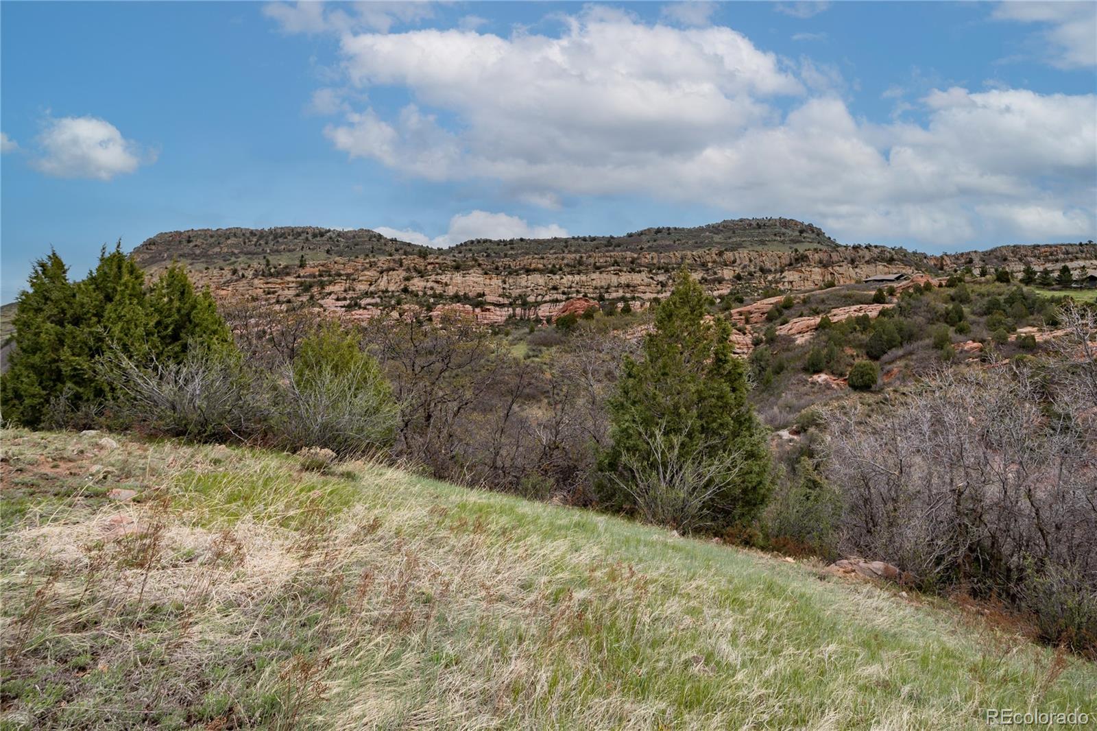 12312 White Deer Drive