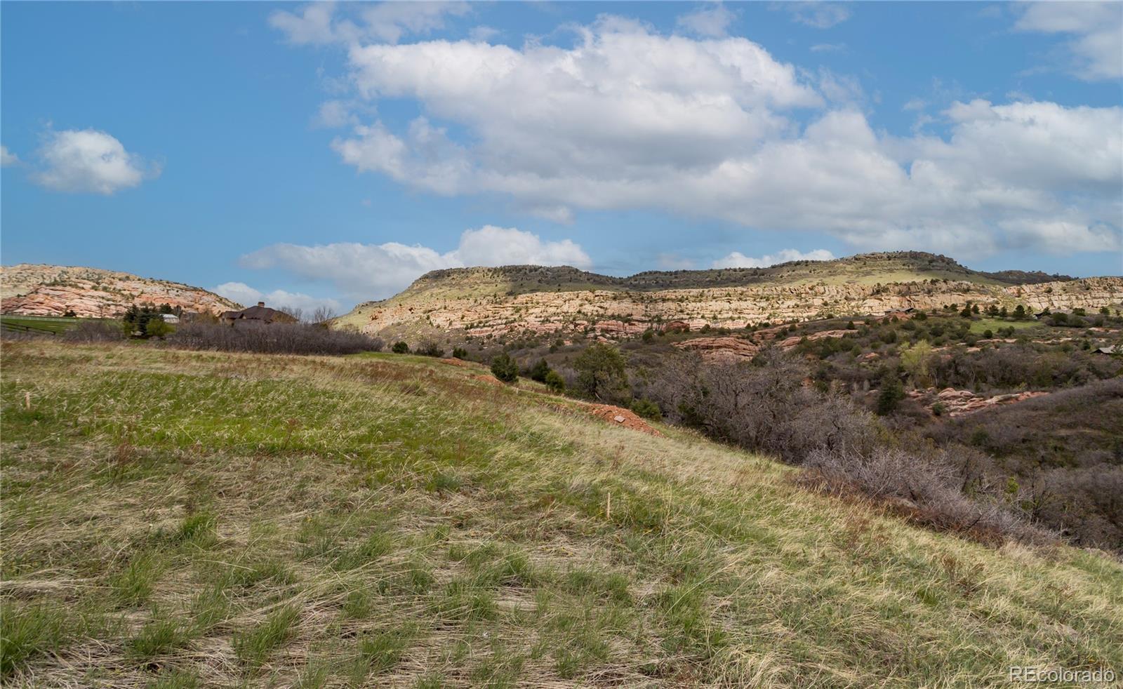 12312 White Deer Drive