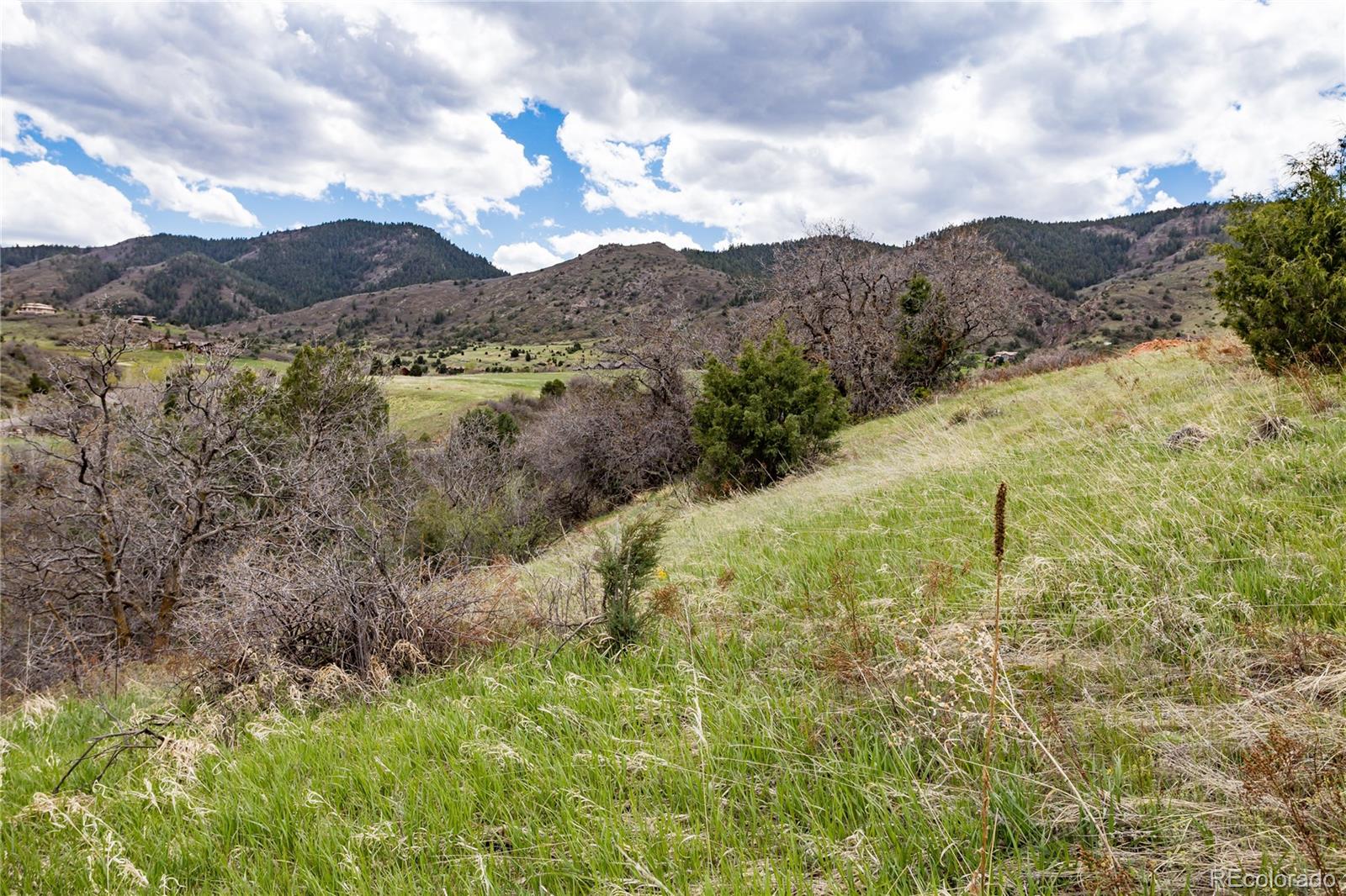 12312 White Deer Drive