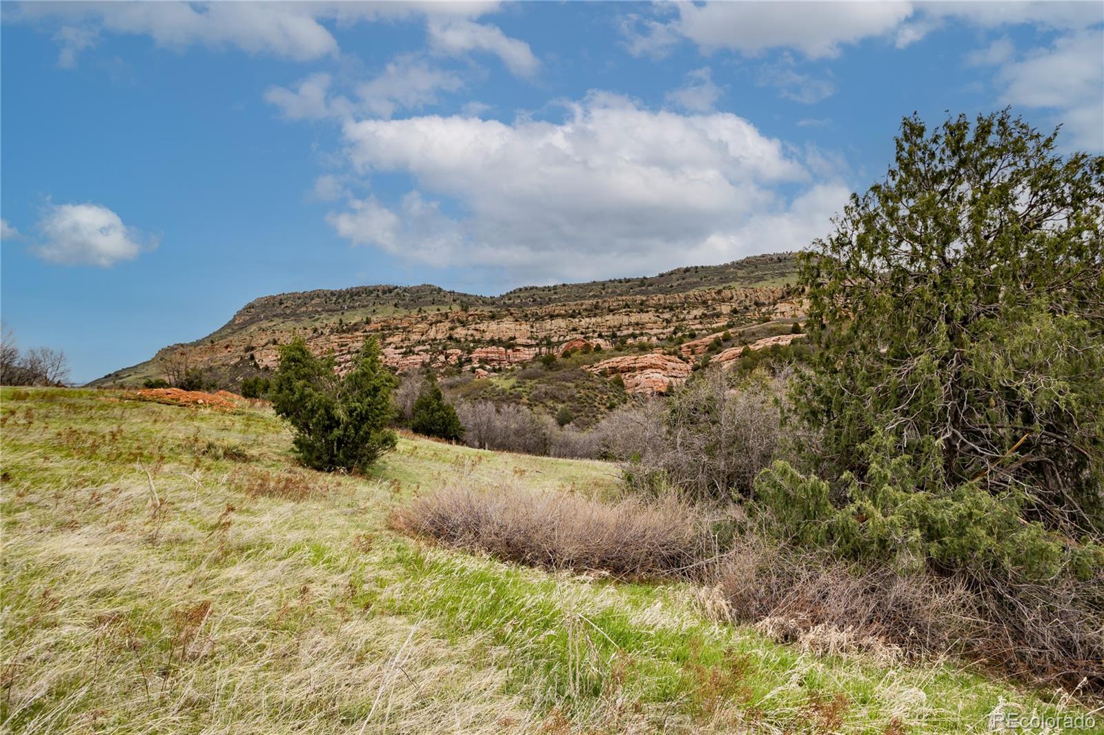 12312 White Deer Drive