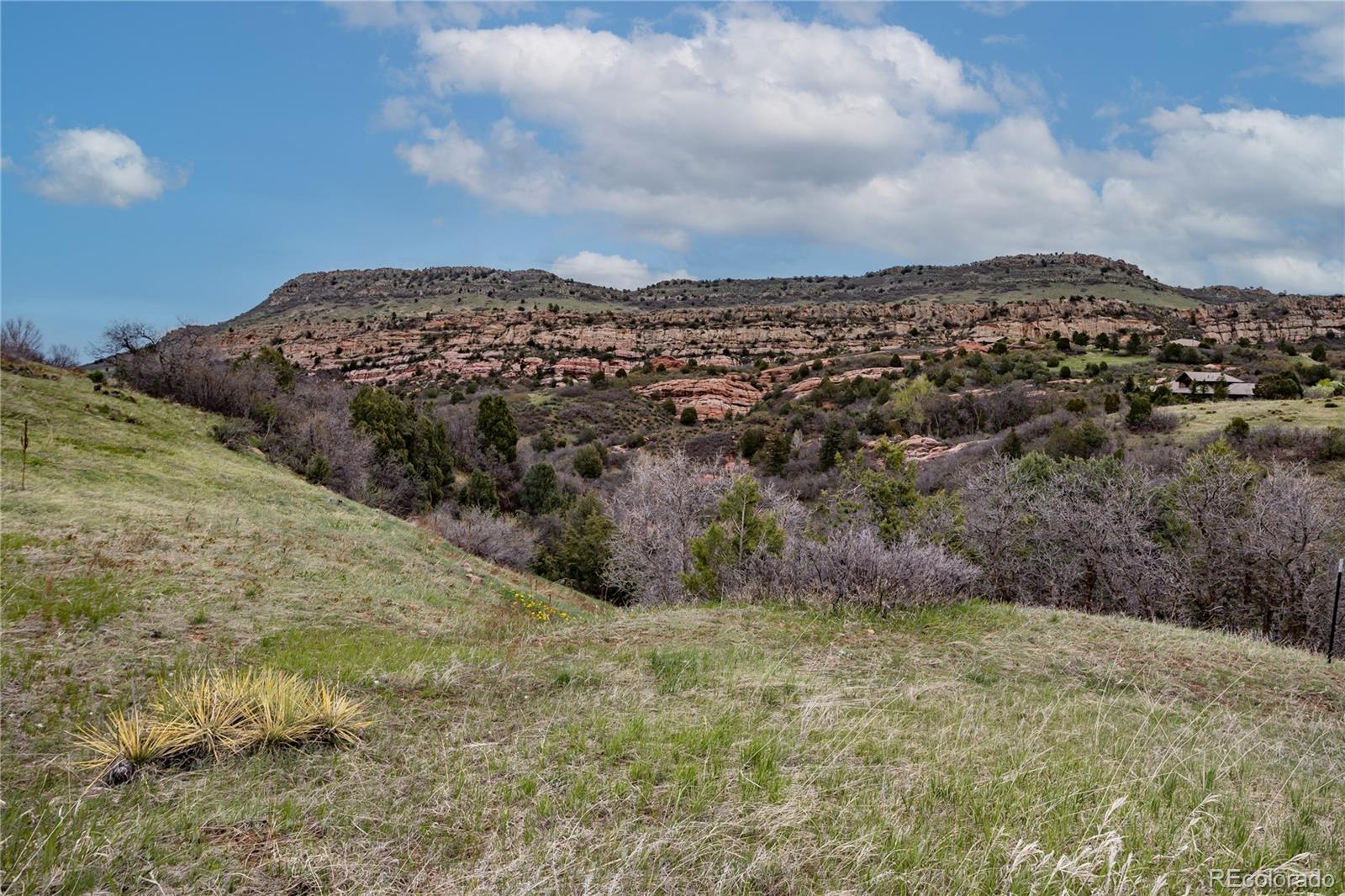 12312 White Deer Drive