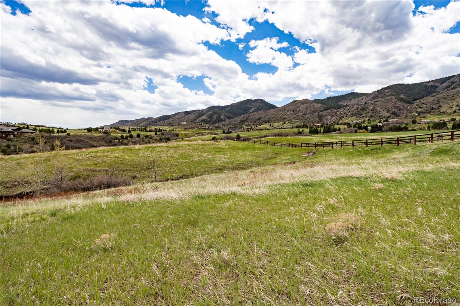 12312 White Deer Drive