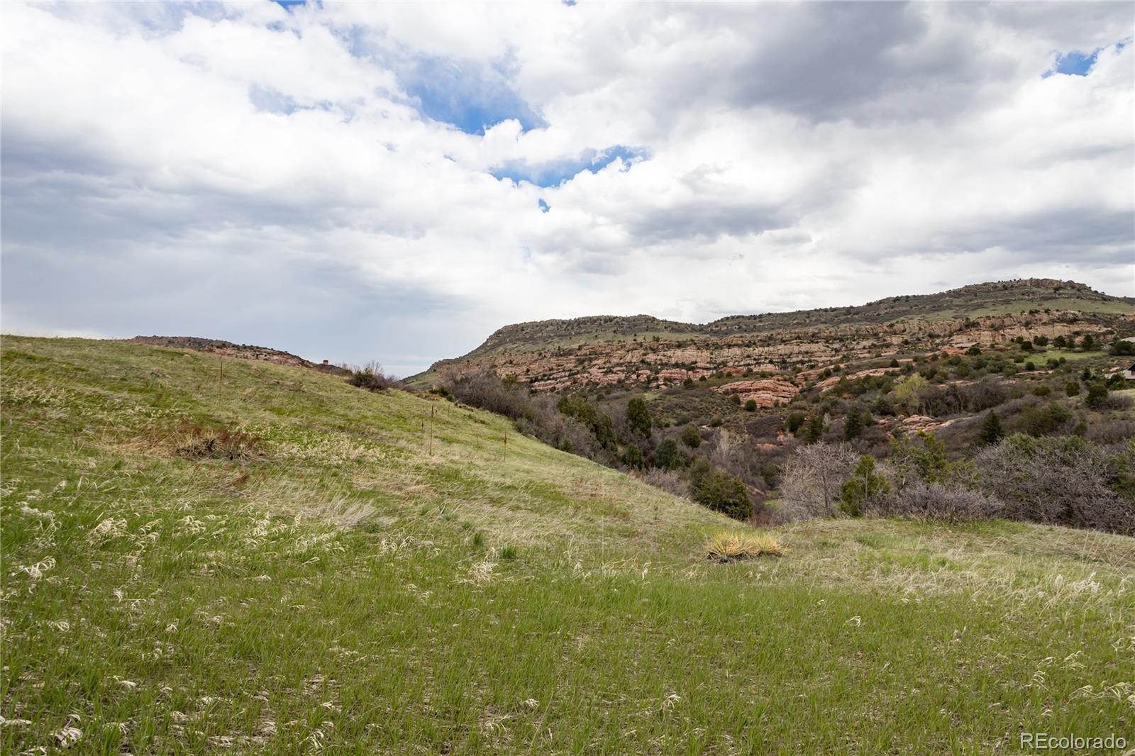 12312 White Deer Drive