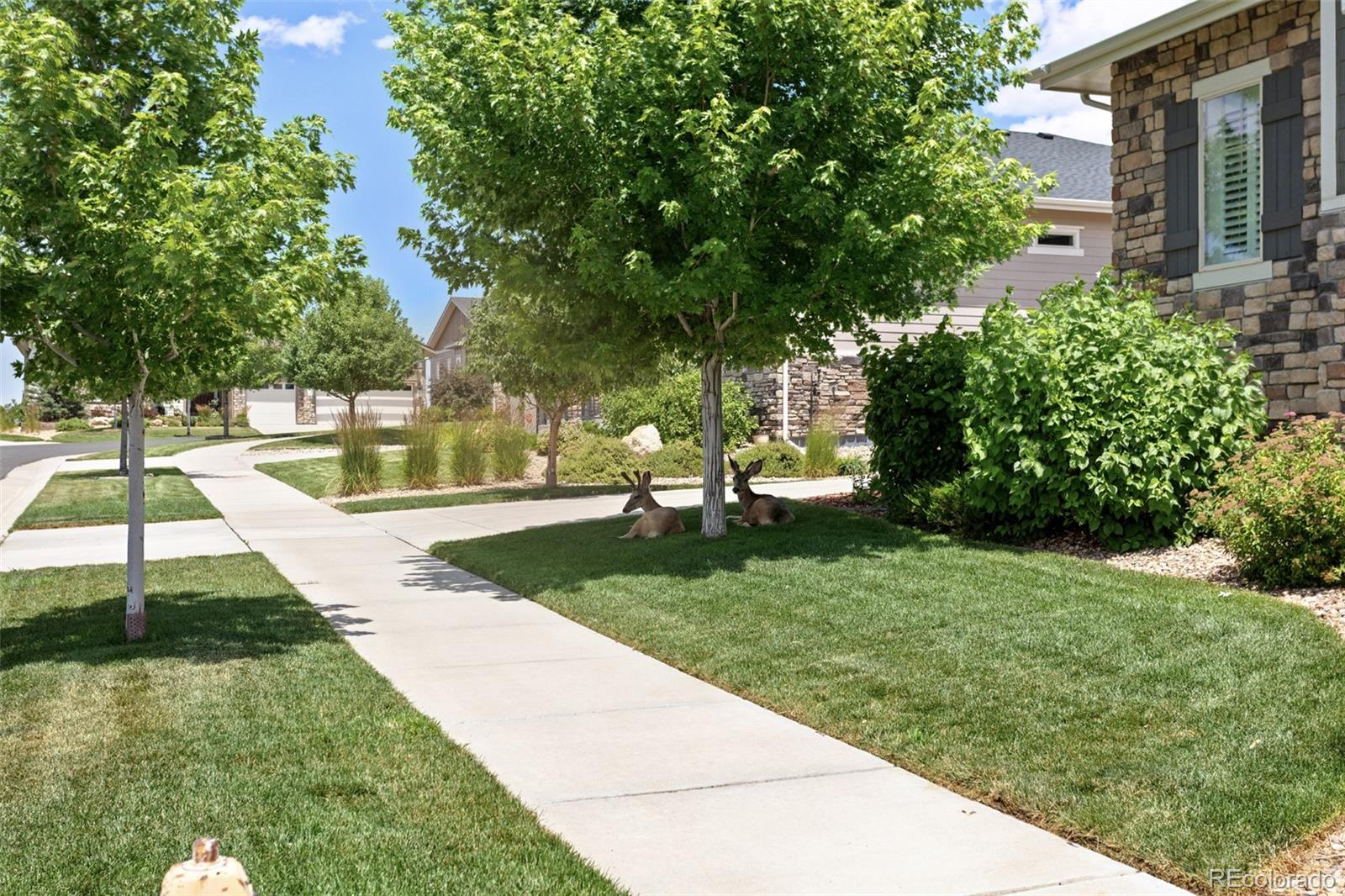 22878 E Bailey Circle