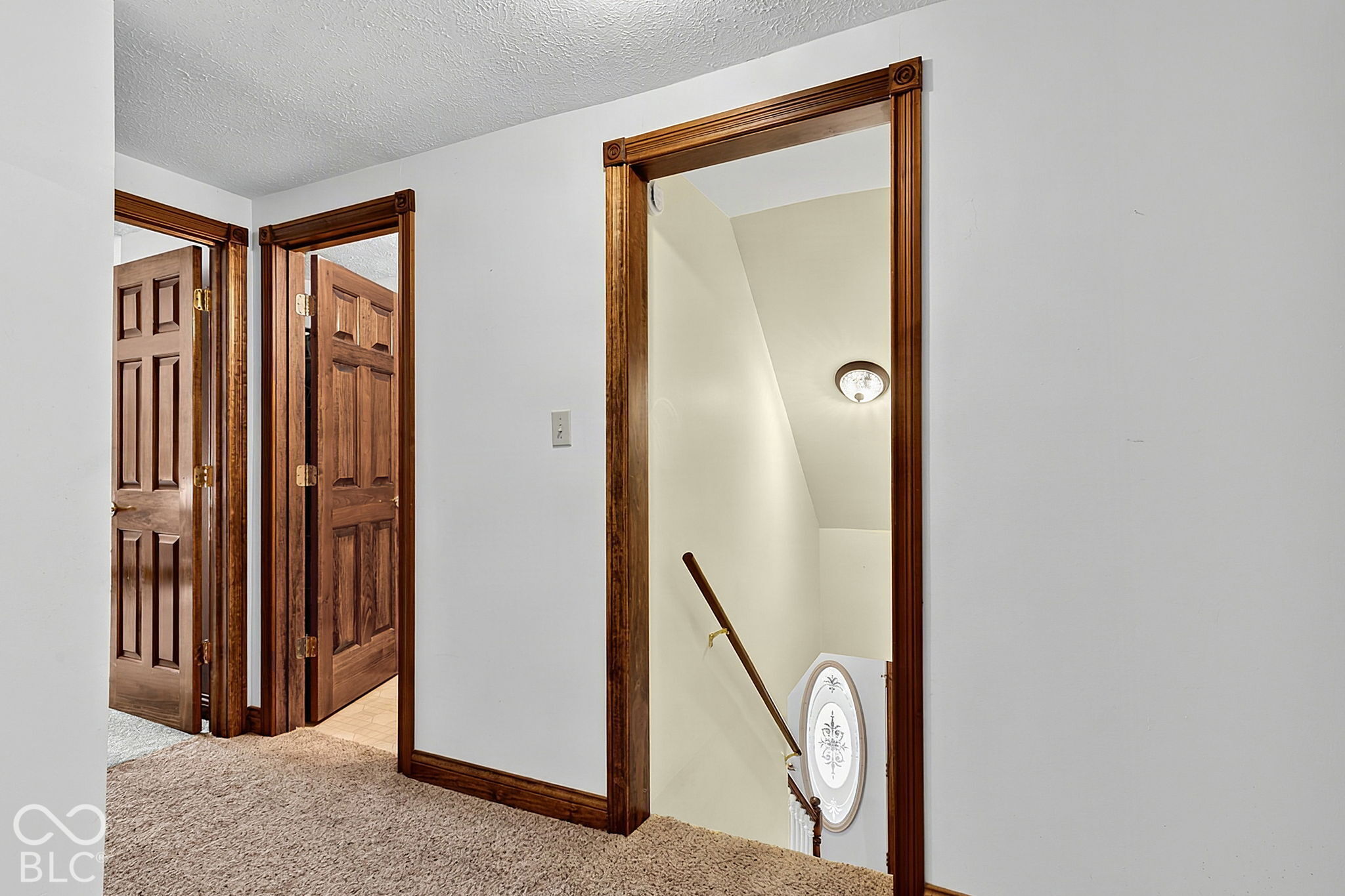Carpeted hallway landing with dark wood doors and trim beside an open stairwell.