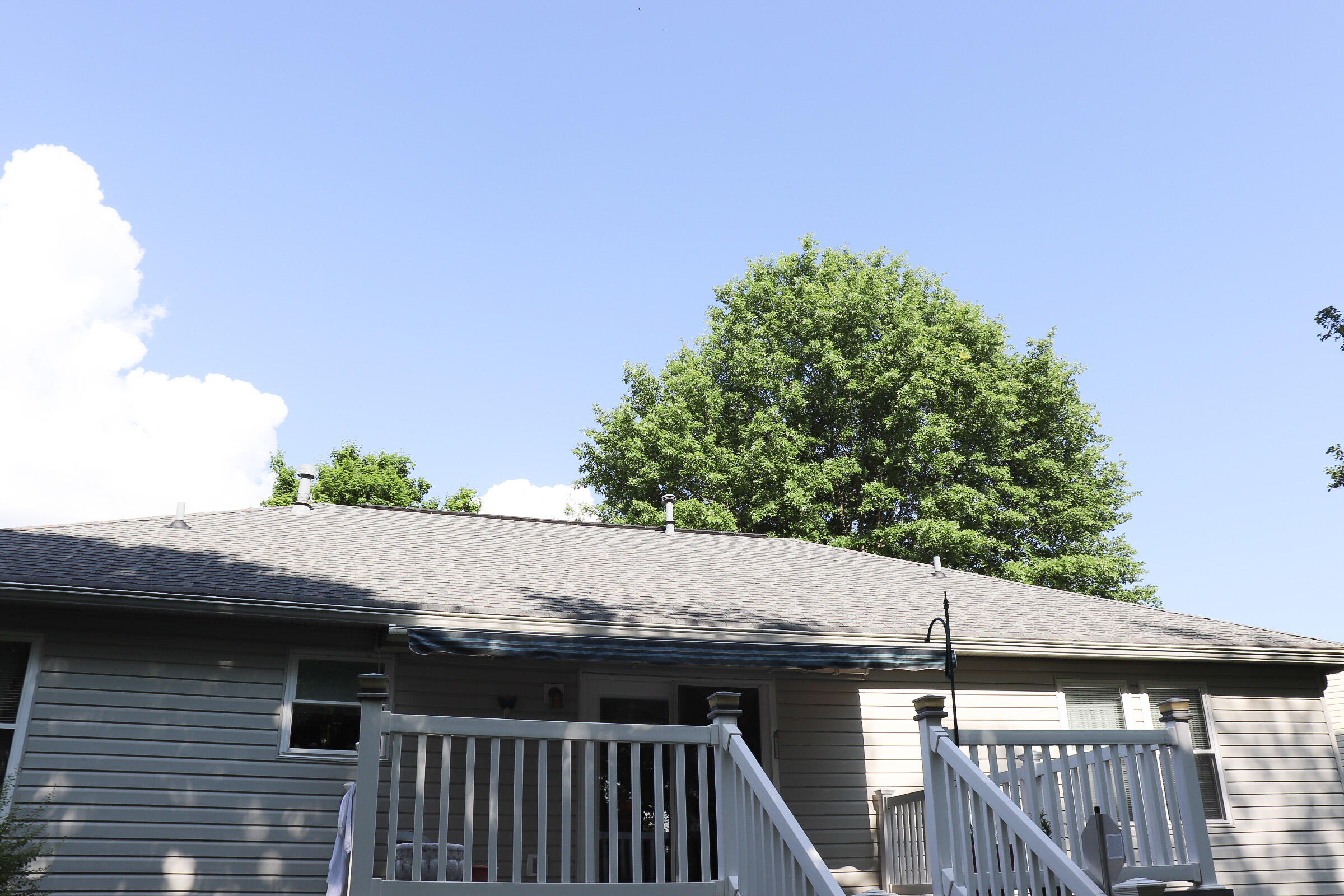 2528 Northern Dancer Court