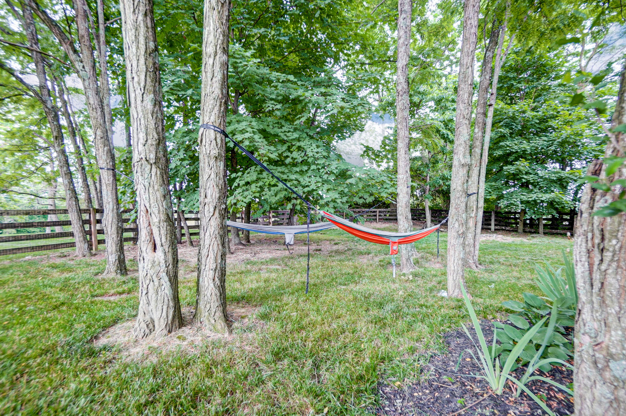 578 Savannah Drive