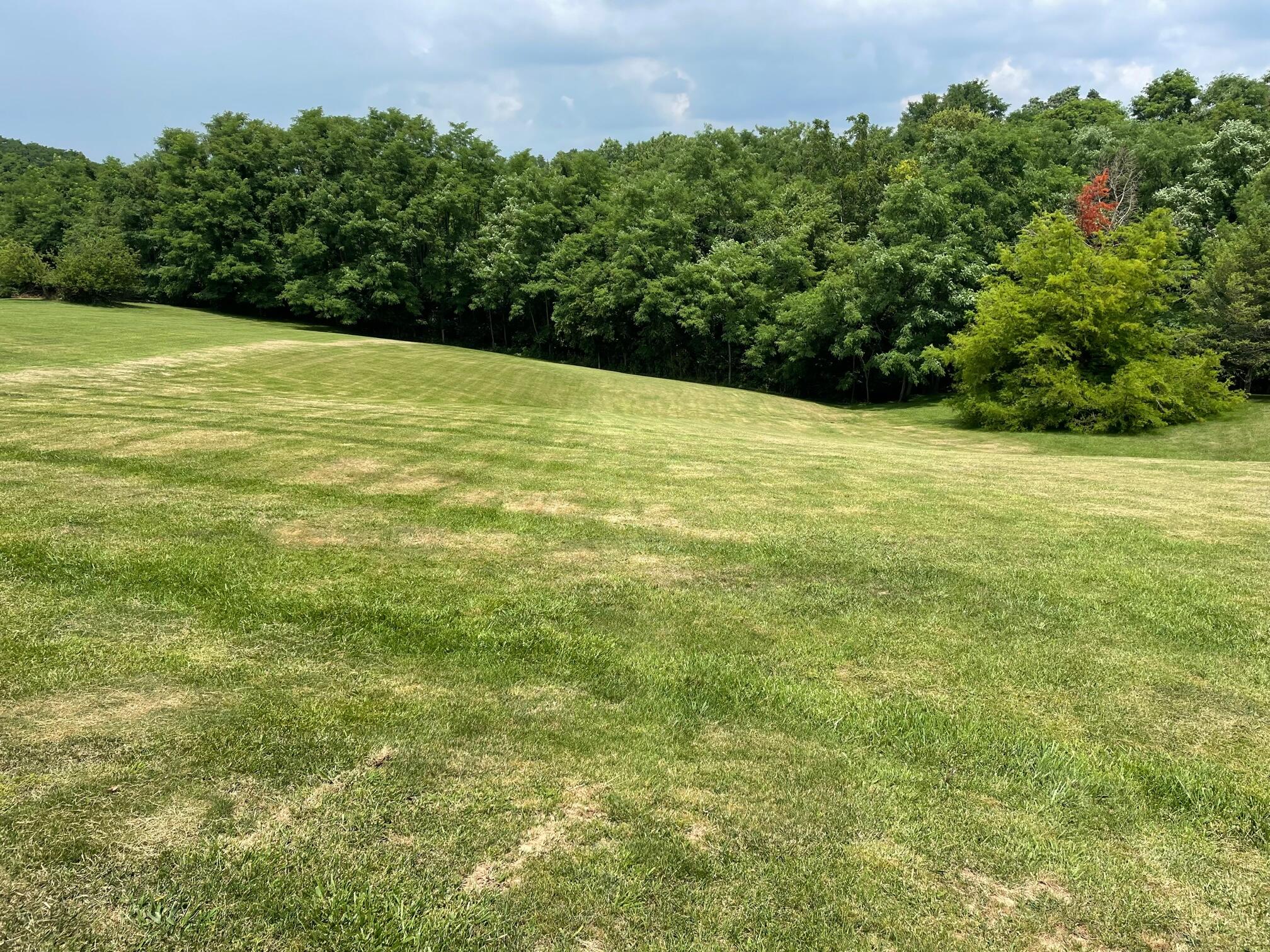 1945 Dry Ridge Mount Zion Road