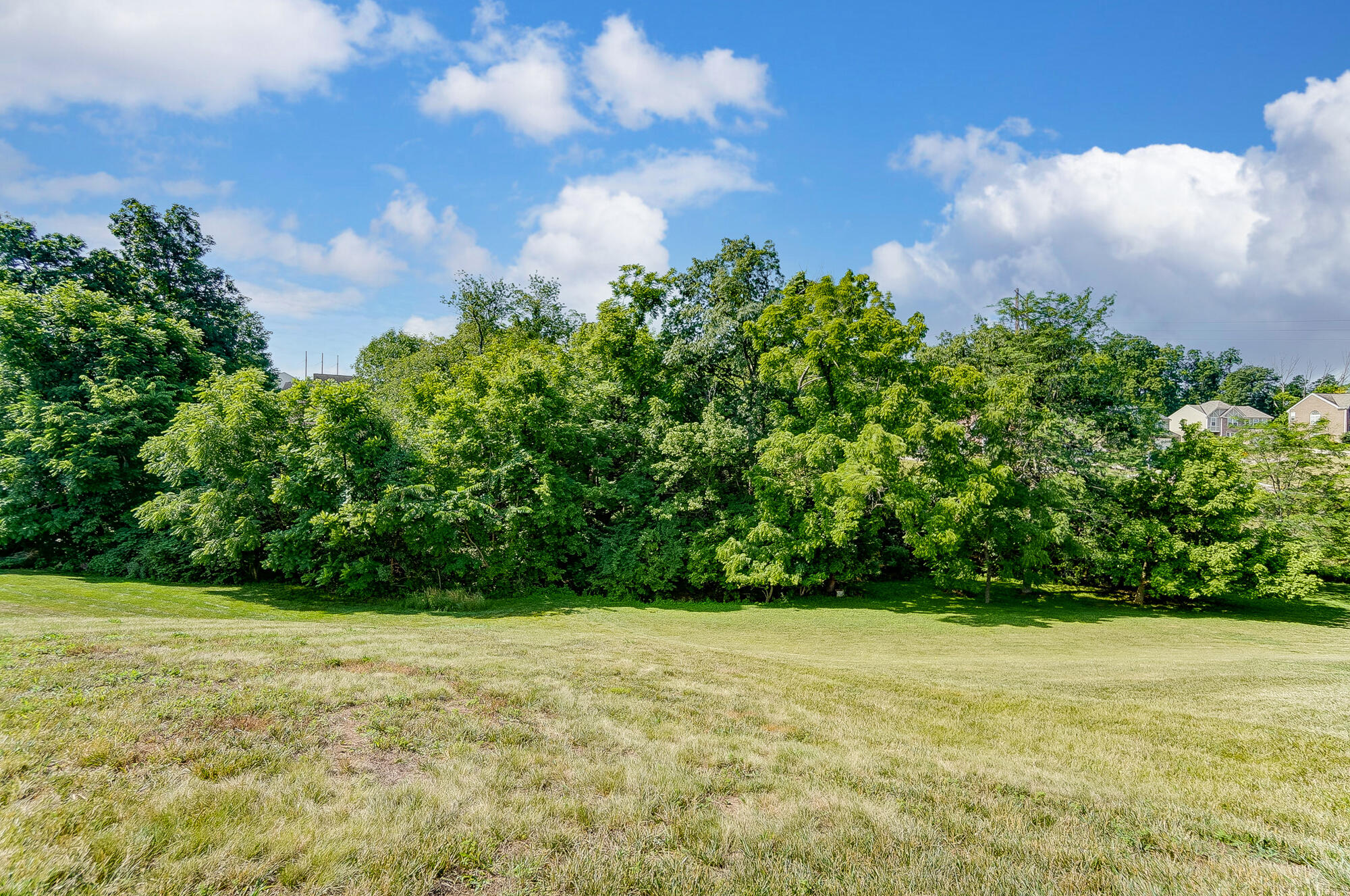 11416 Gold Cup Court