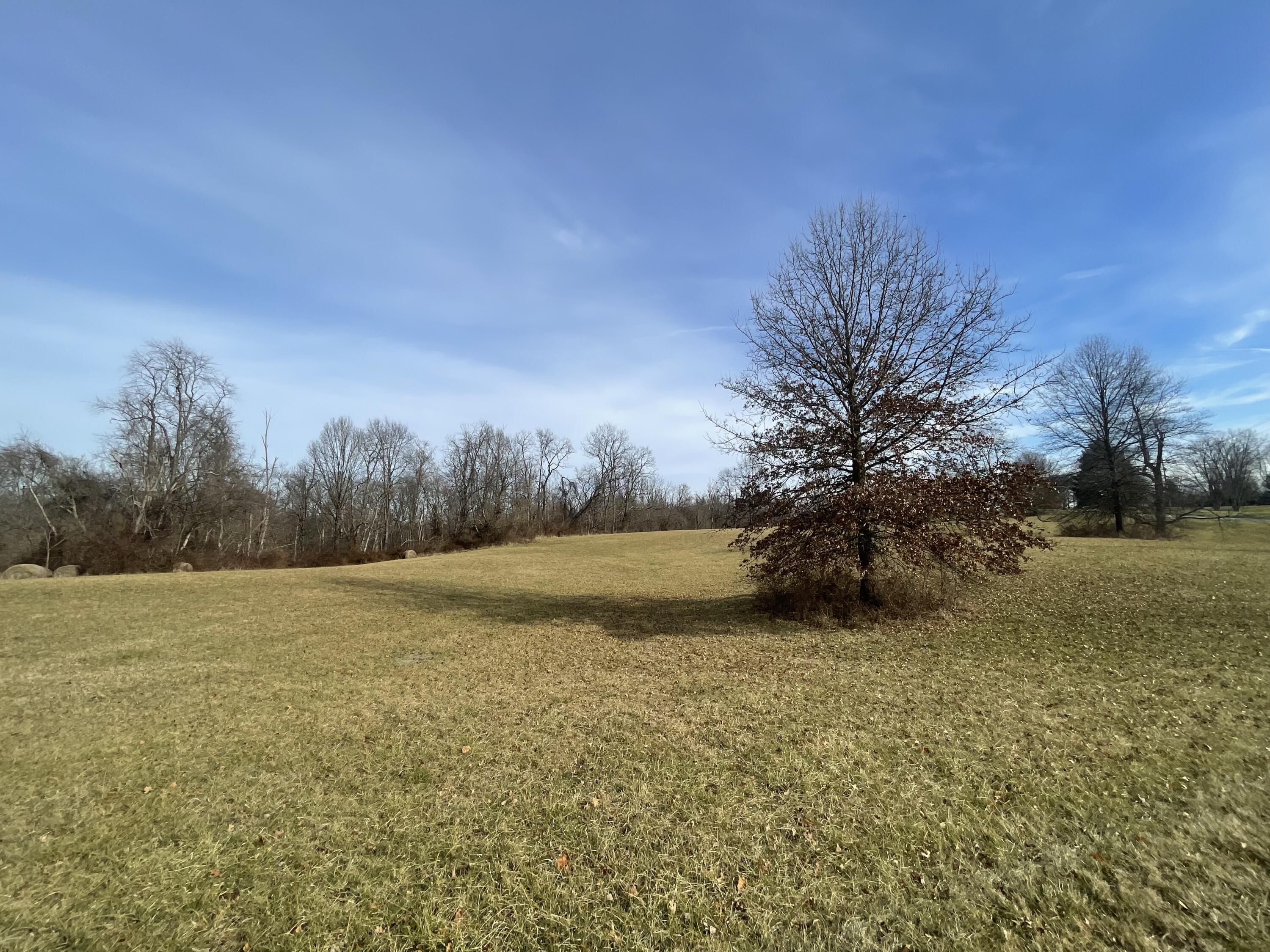 3250 Feeley Road