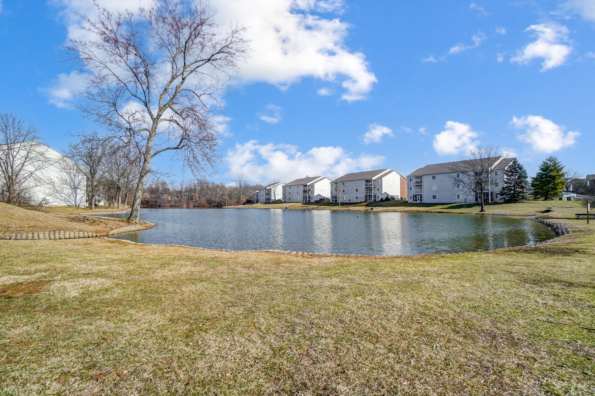 10160 Carnation Court, 9