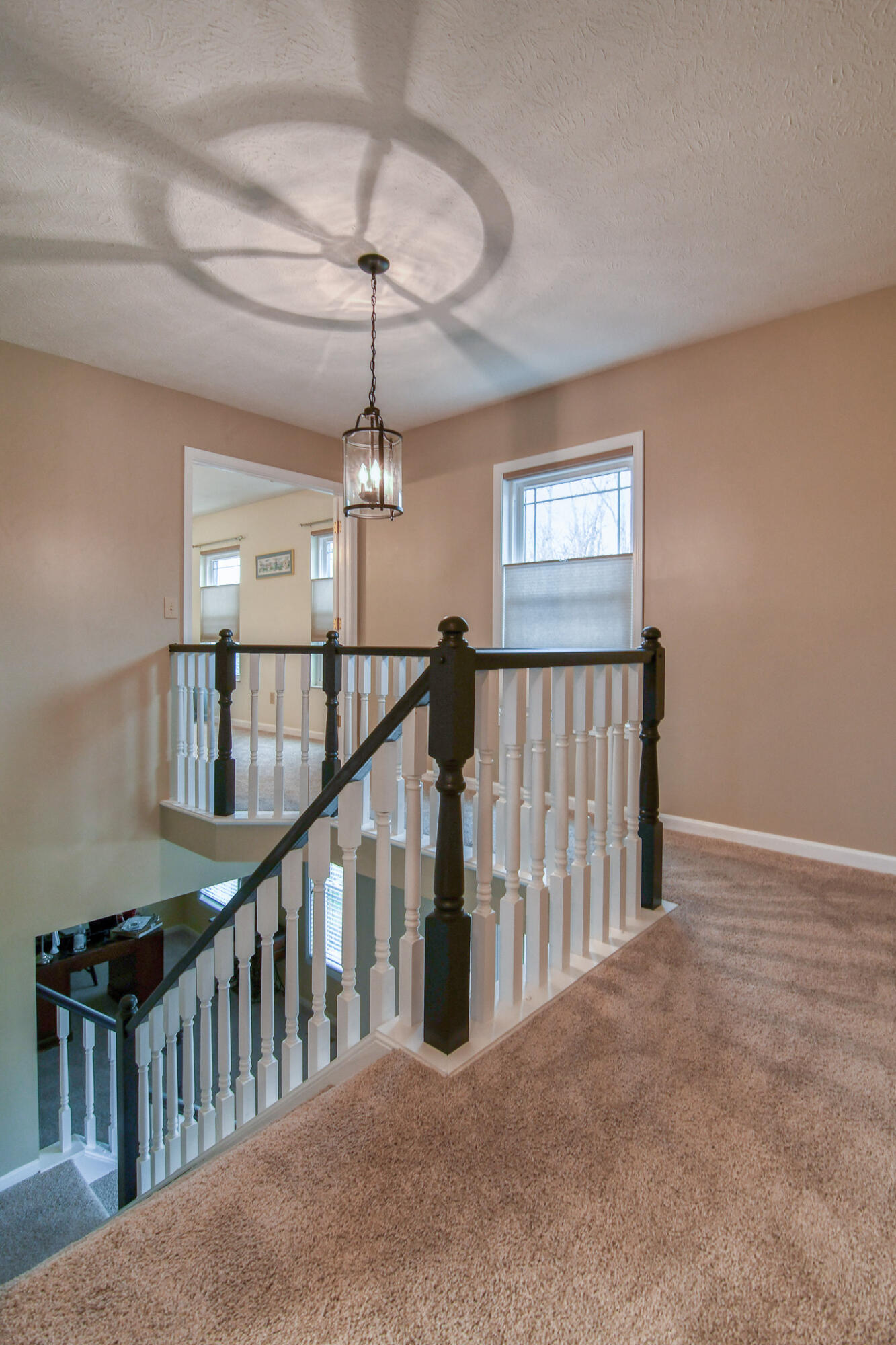 1873 Grovepointe Drive