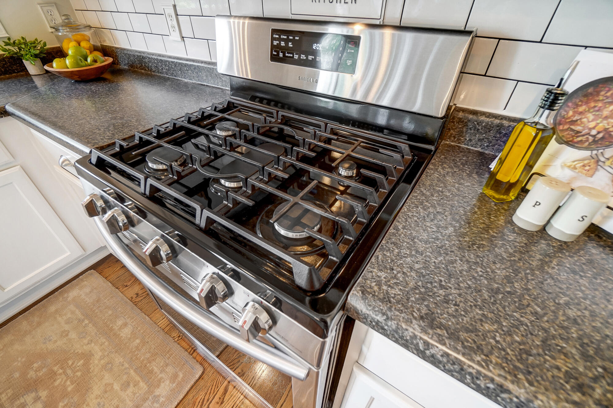 580 Panzeretta Drive